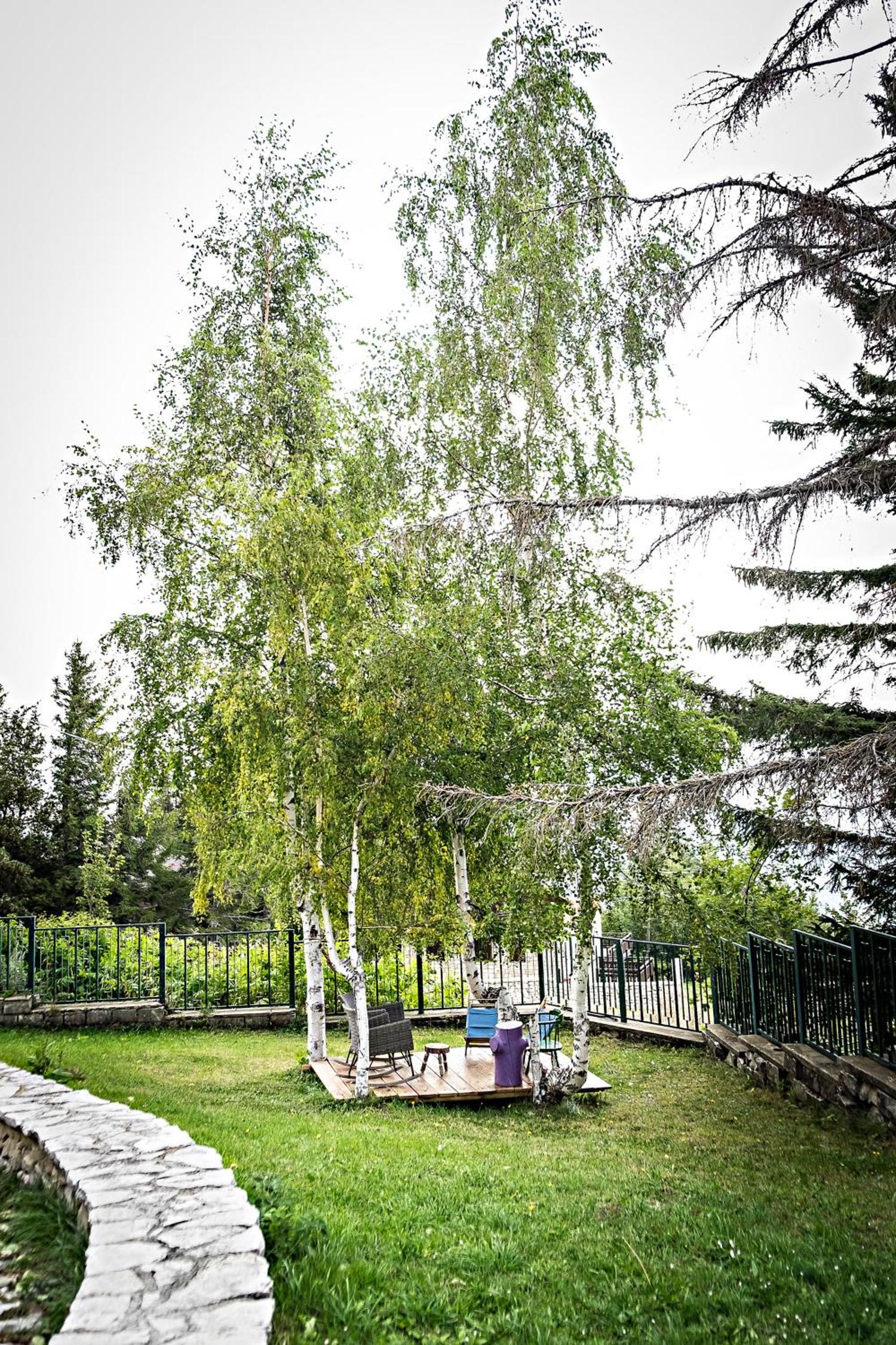 Photo 28