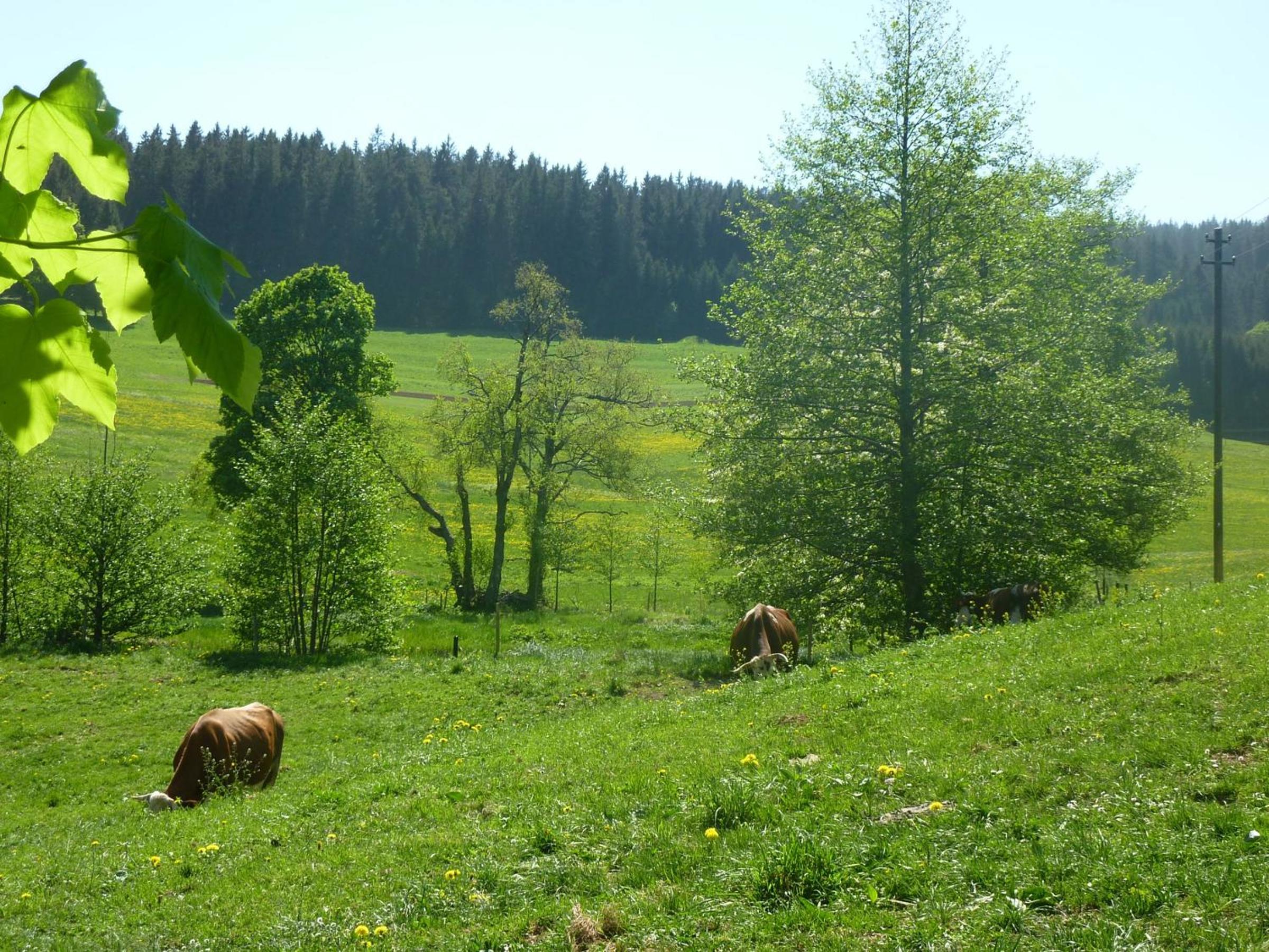 Biobetrieb Lippenhof