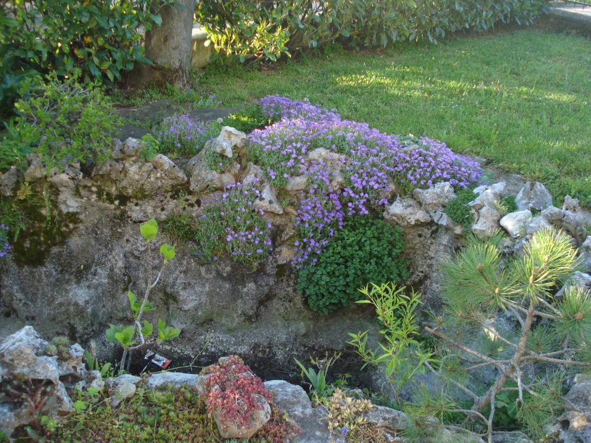 Photo 49