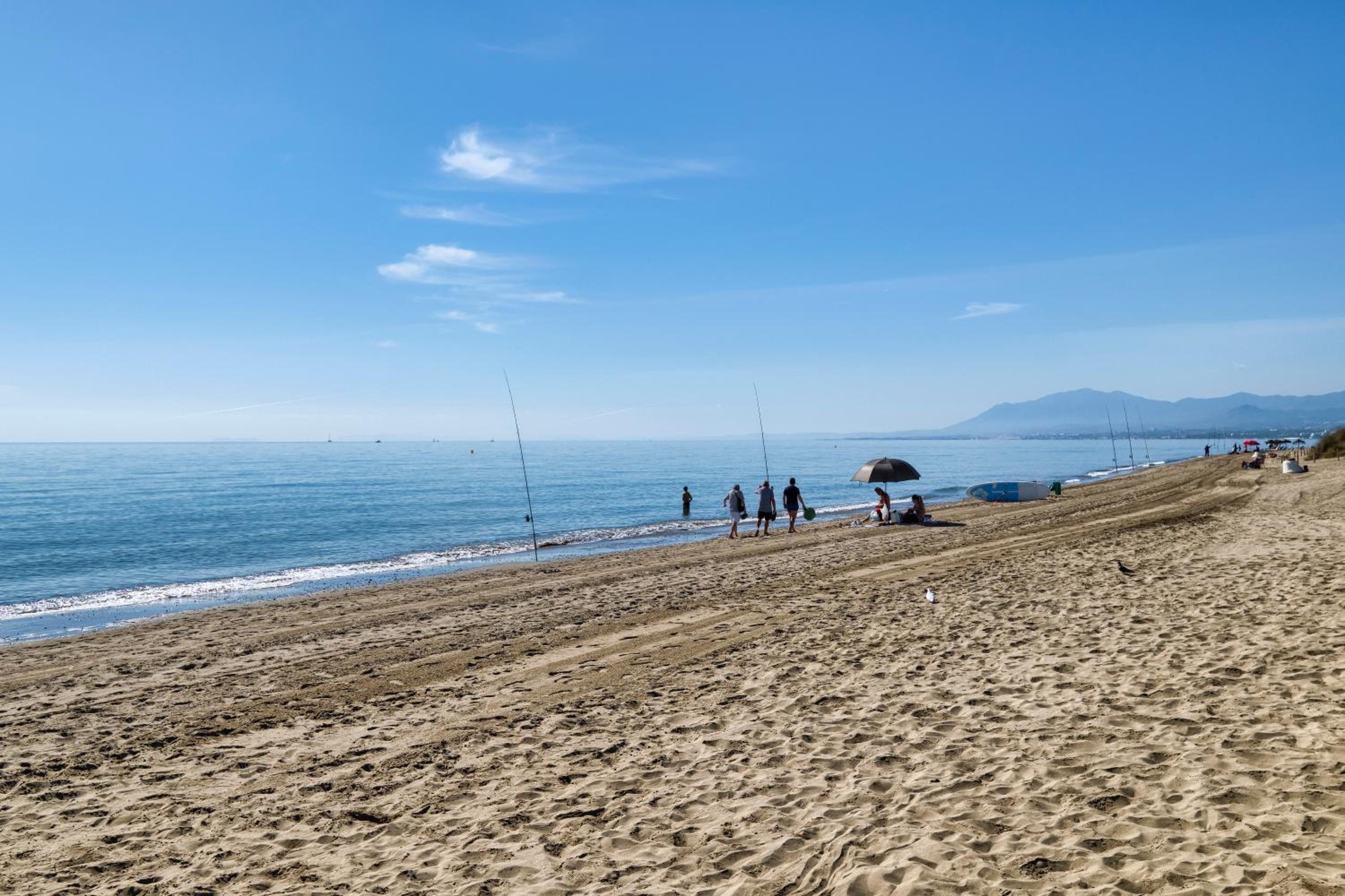 Playa Alicate, 2 Bedroom Beach Apartment view 5
