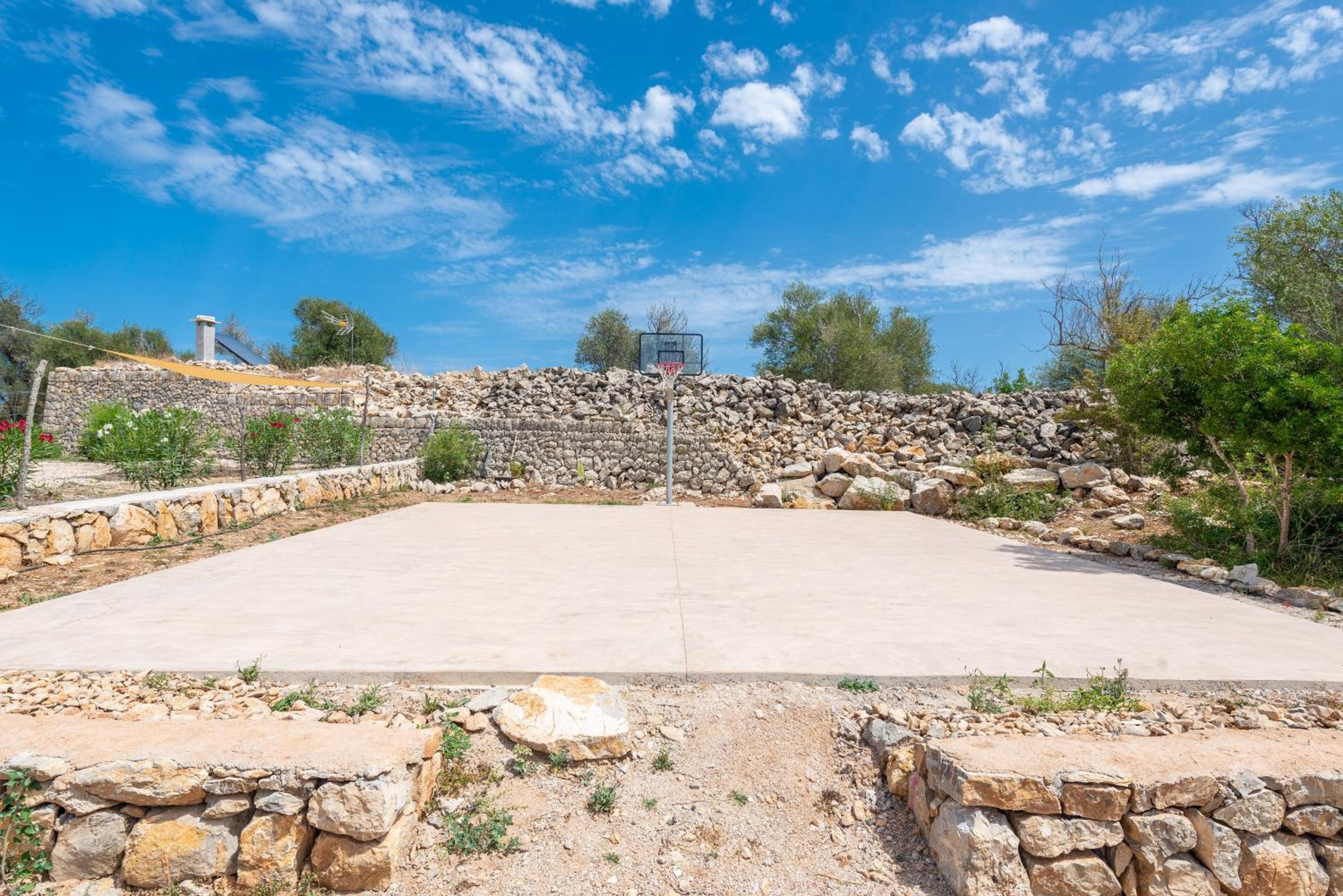 Photo 64