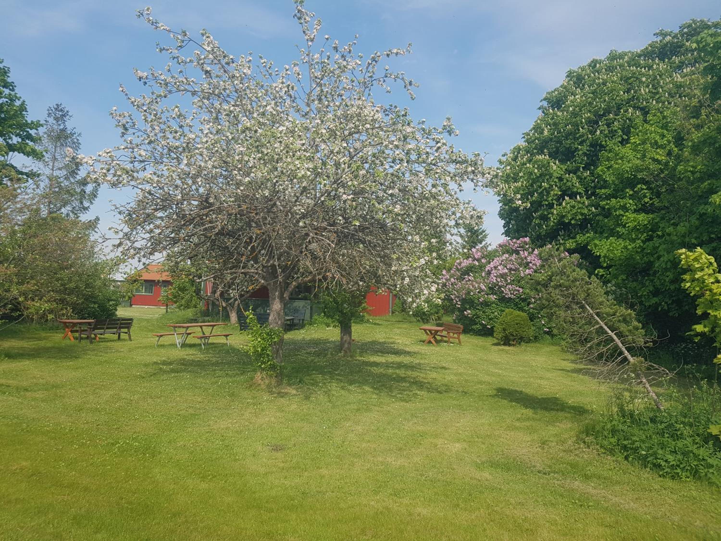 Villa Freja view 2