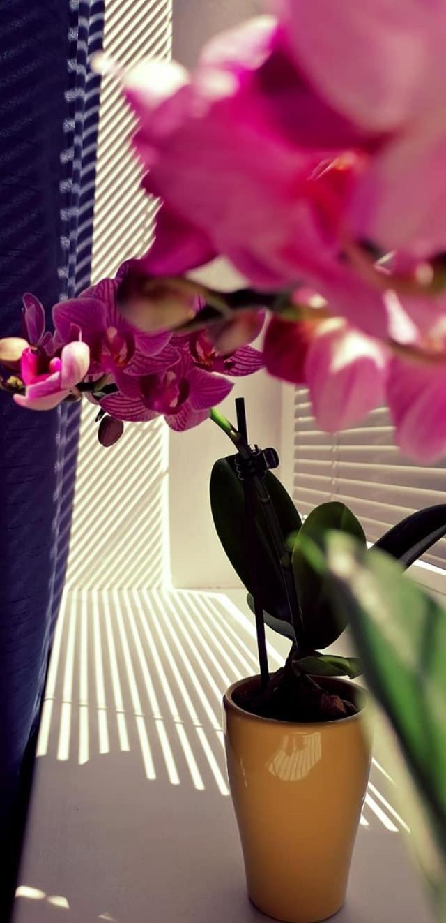 Photo 52