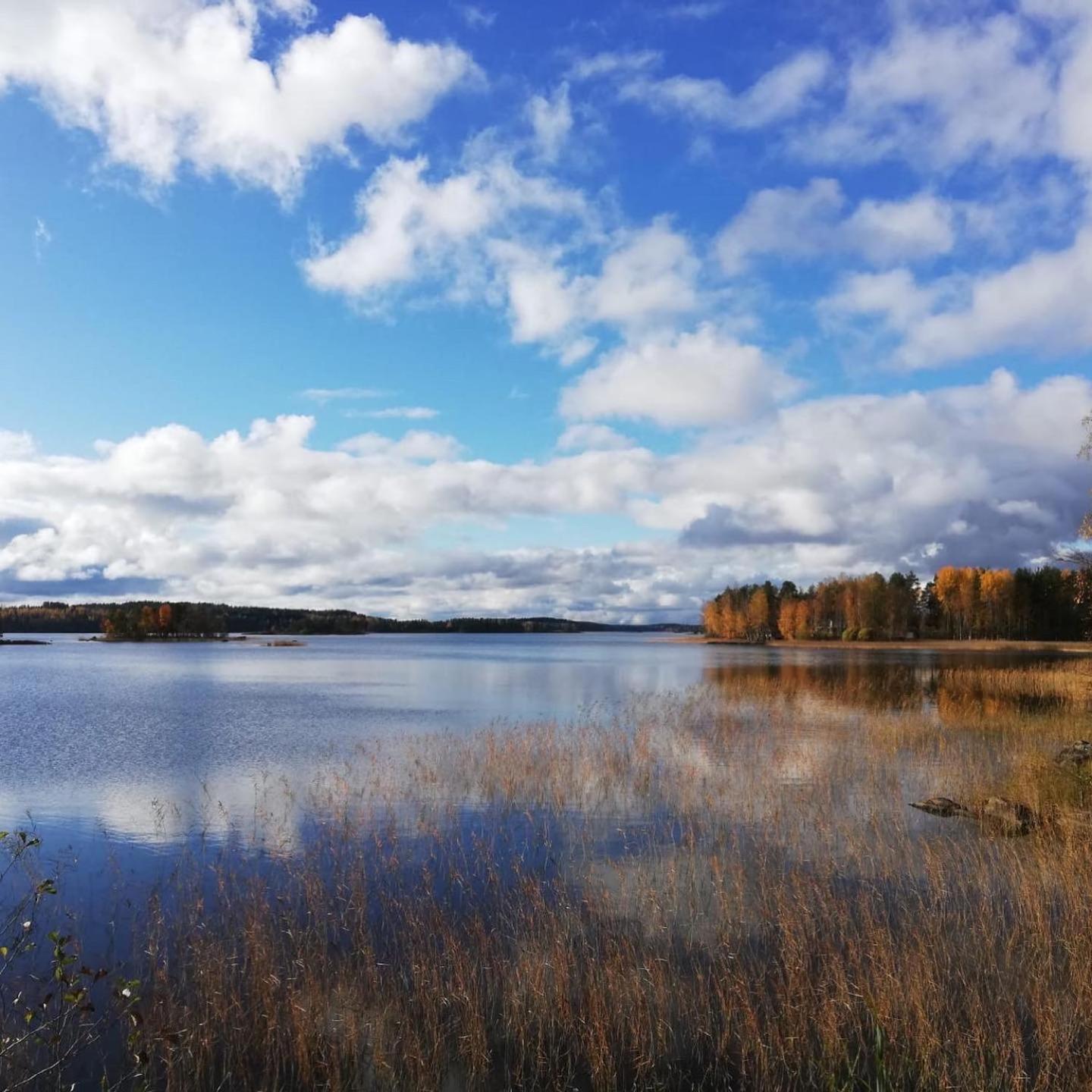 Blueberry Villa at Saimaa Lakeside