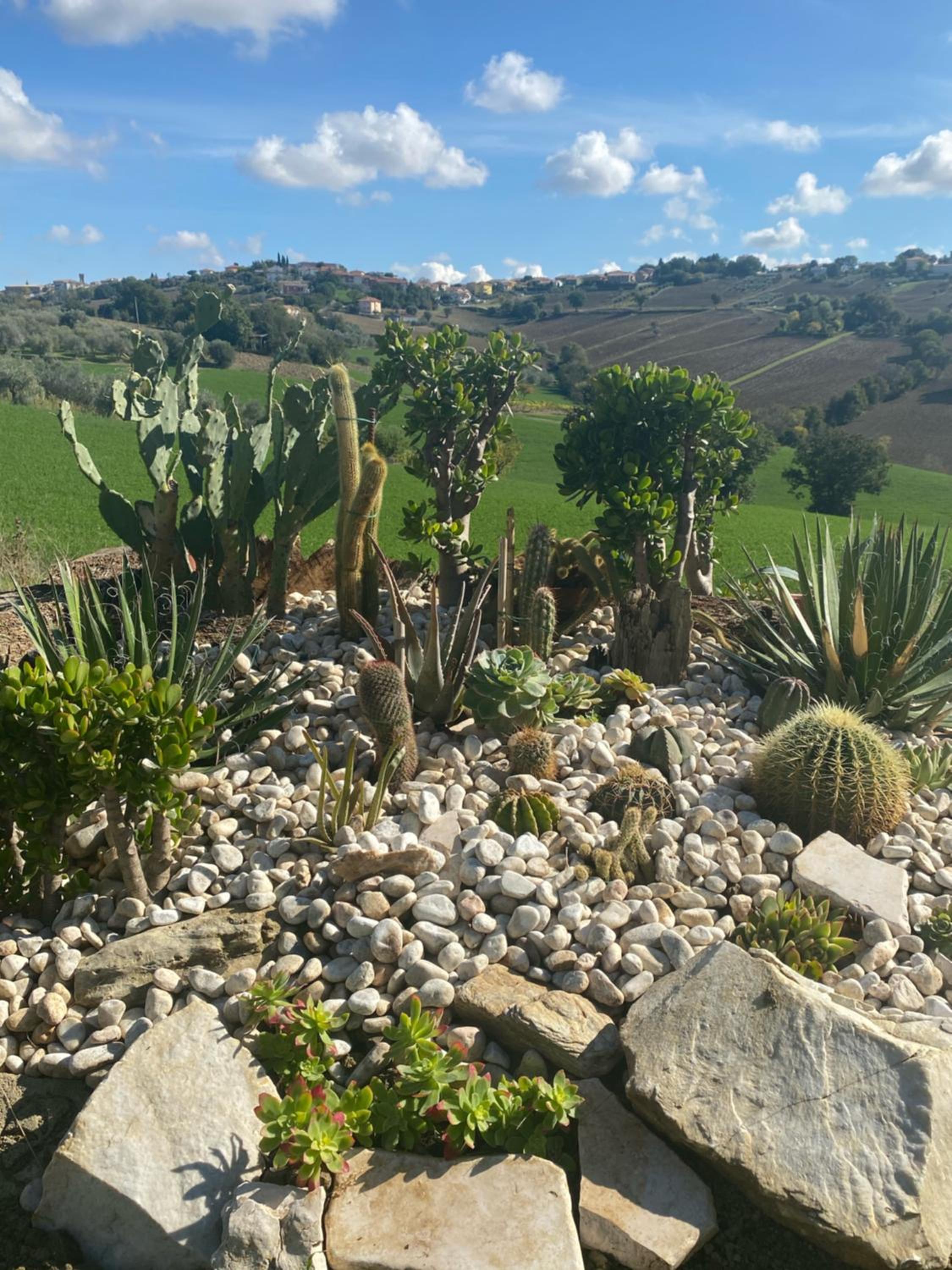Casale dei Cinque Colli view 4