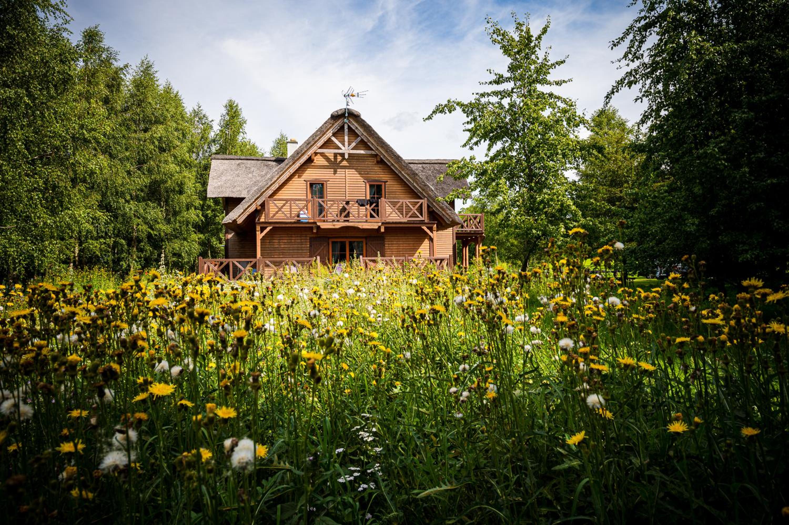 Brzozowy Gaj view 4