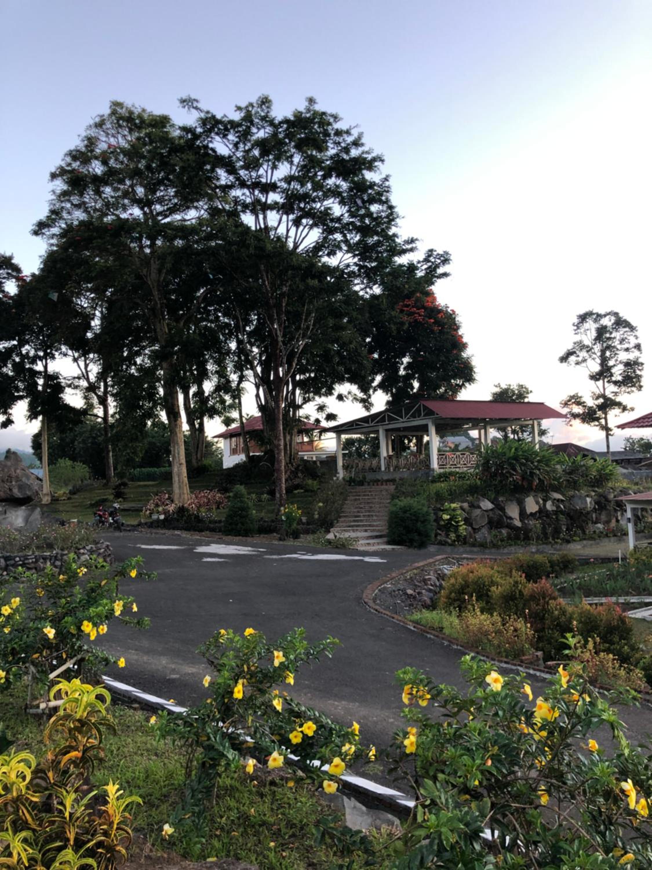 Photo 19