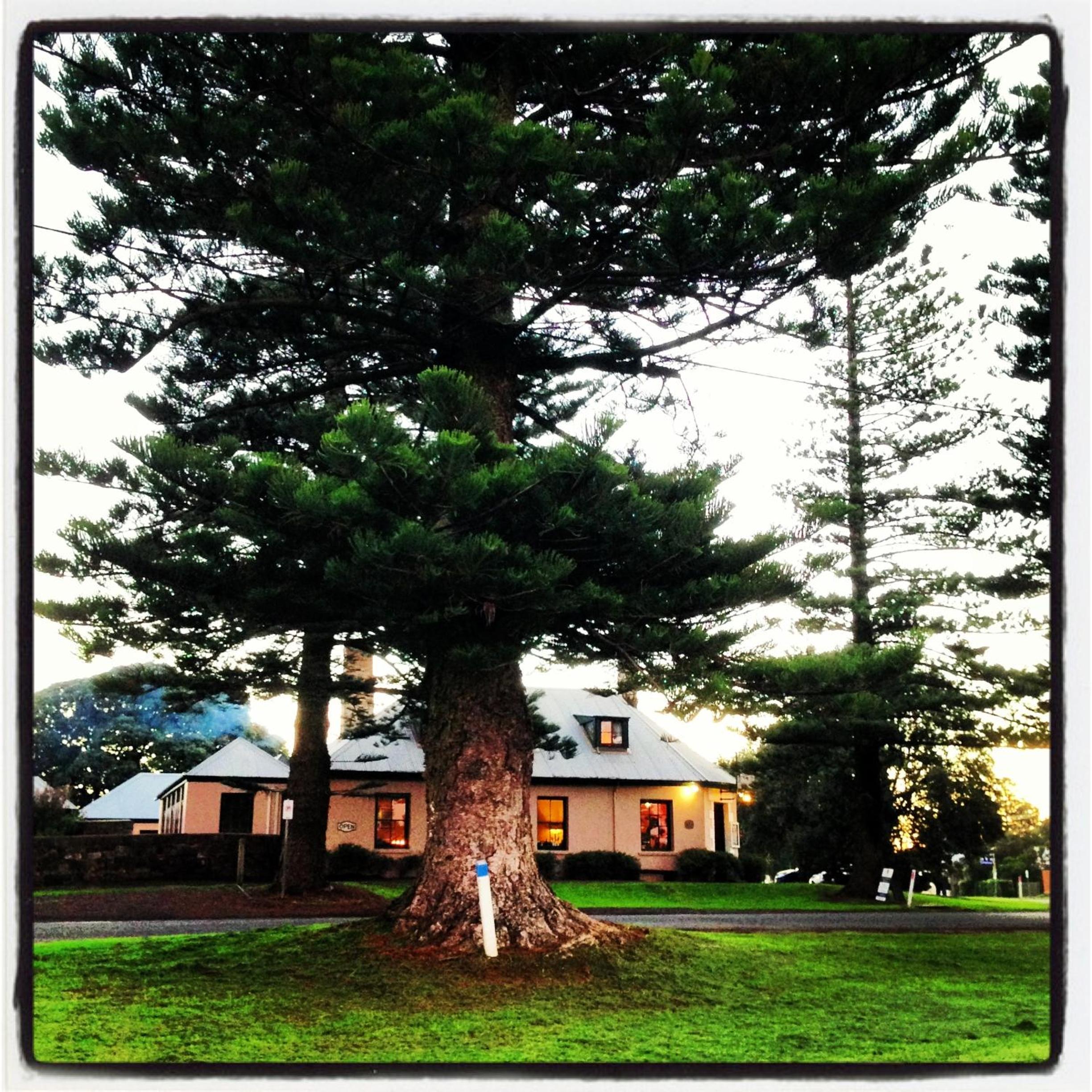 Merrijig Inn