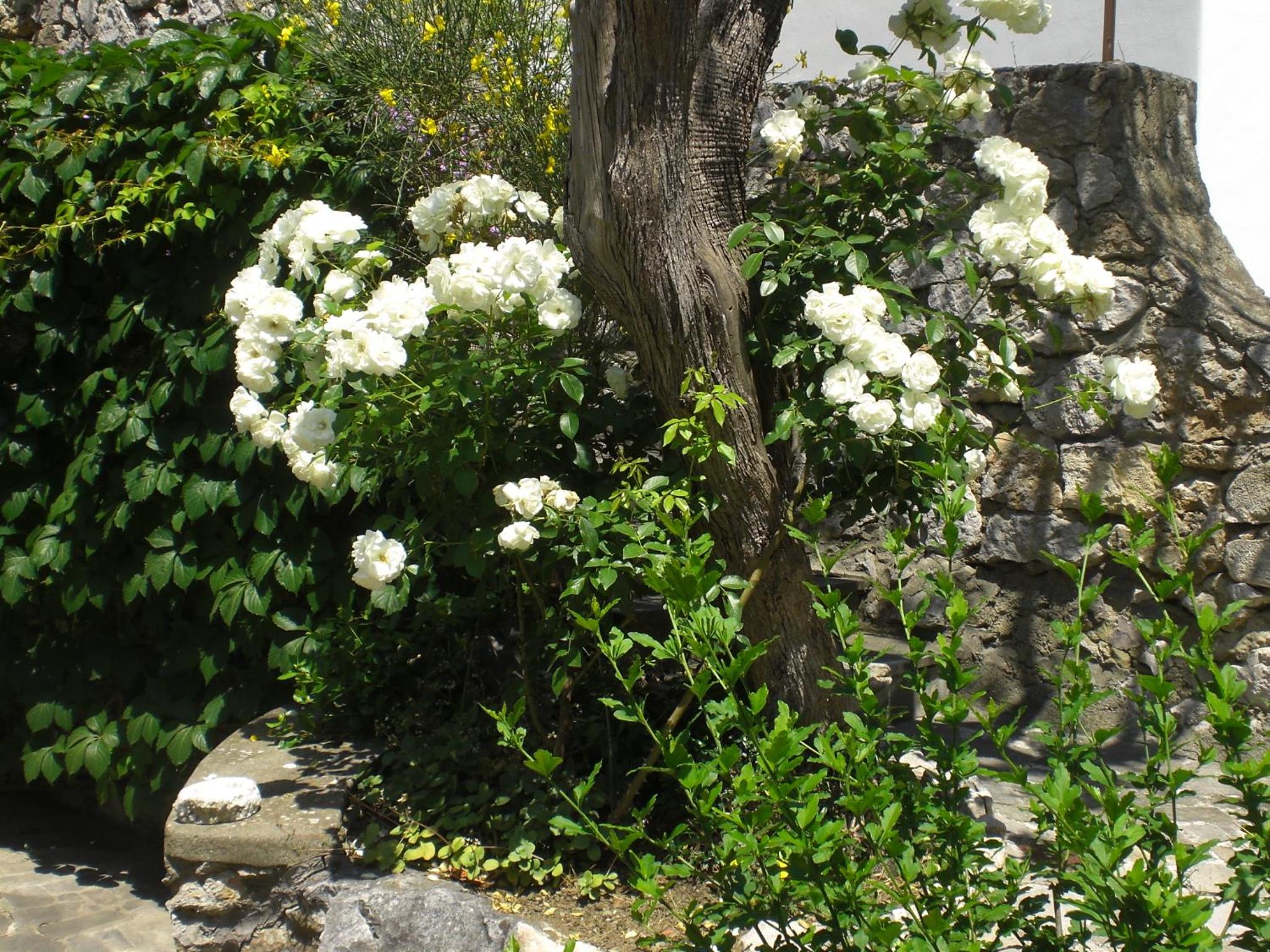 Casa Augusto B&B, photo 16