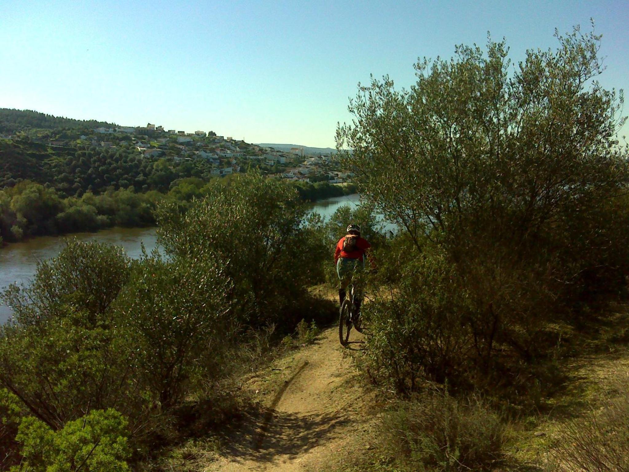 Photo 26