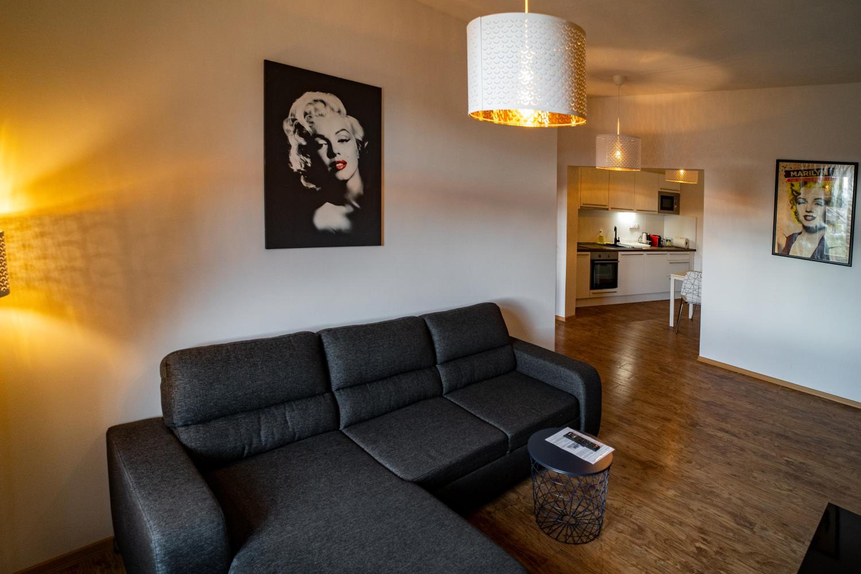 Apartmany Pisek view 3