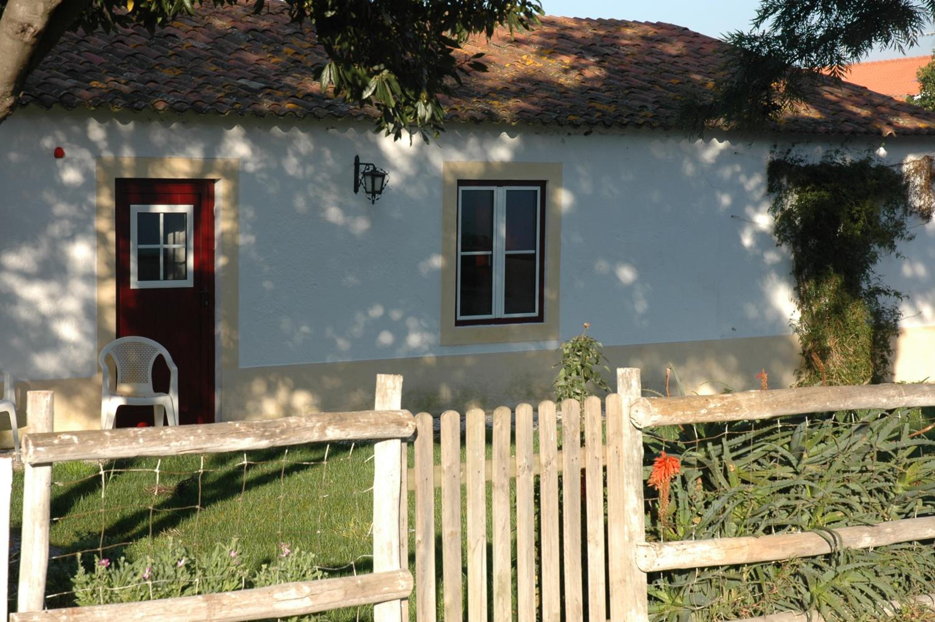 Photo 22