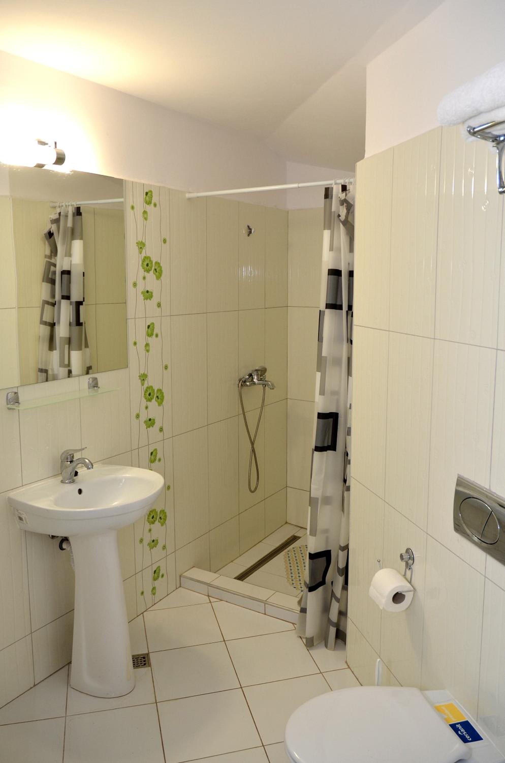 Vila IZVORUL MINUNILOR view 5