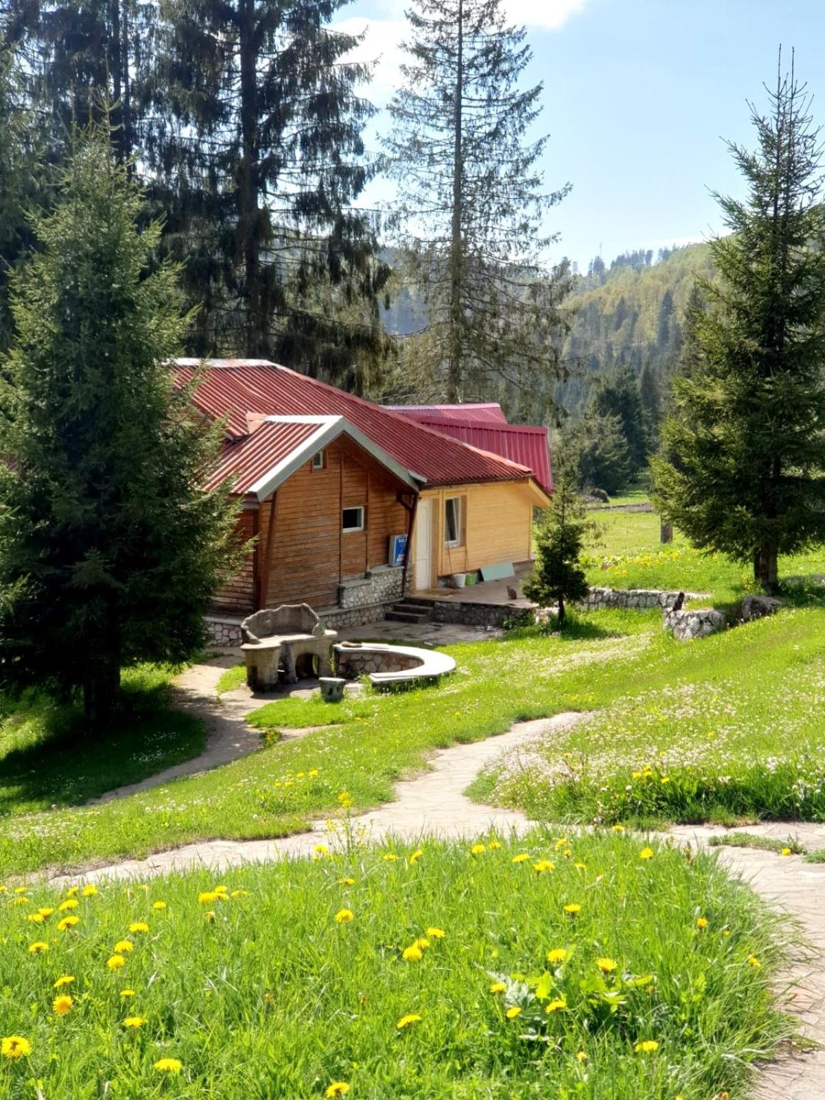 Vila IZVORUL MINUNILOR view 2