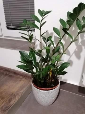 Photo 33
