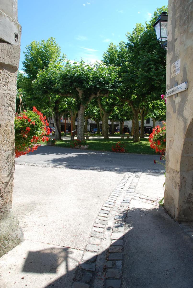 Photo 7