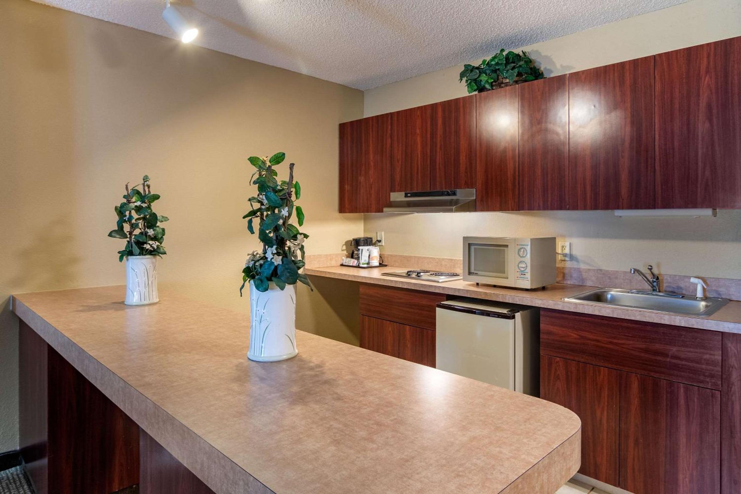 Comfort Inn & Suites Suwanee - Sugarloaf, 사진 15