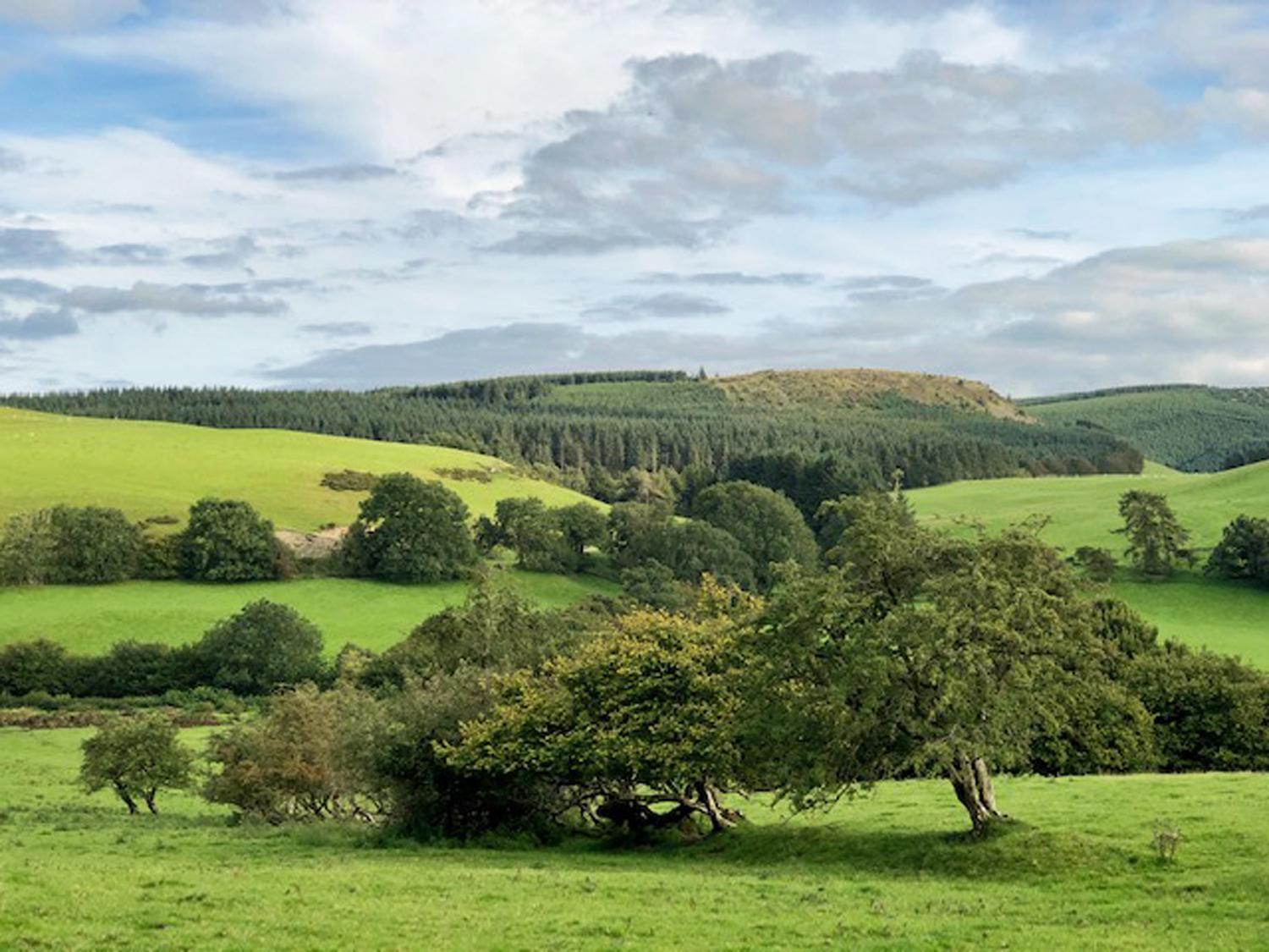 Drovers Retreat view 5