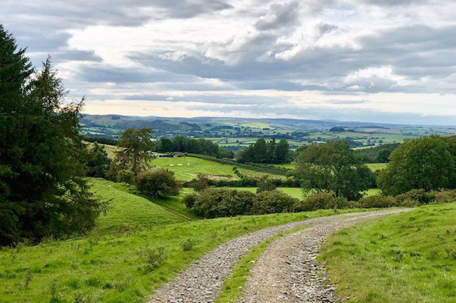 Drovers Retreat view 2