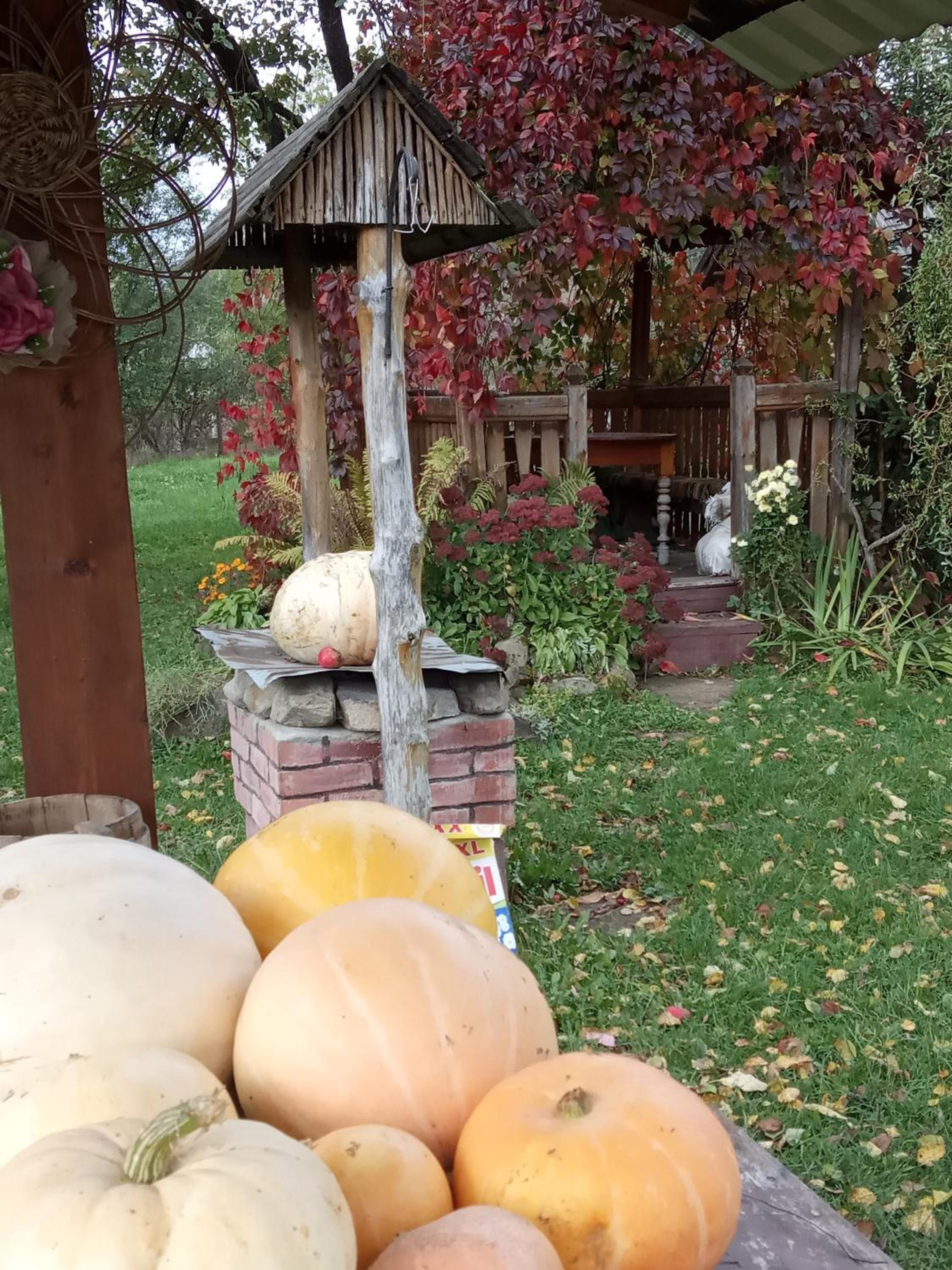 Photo 45