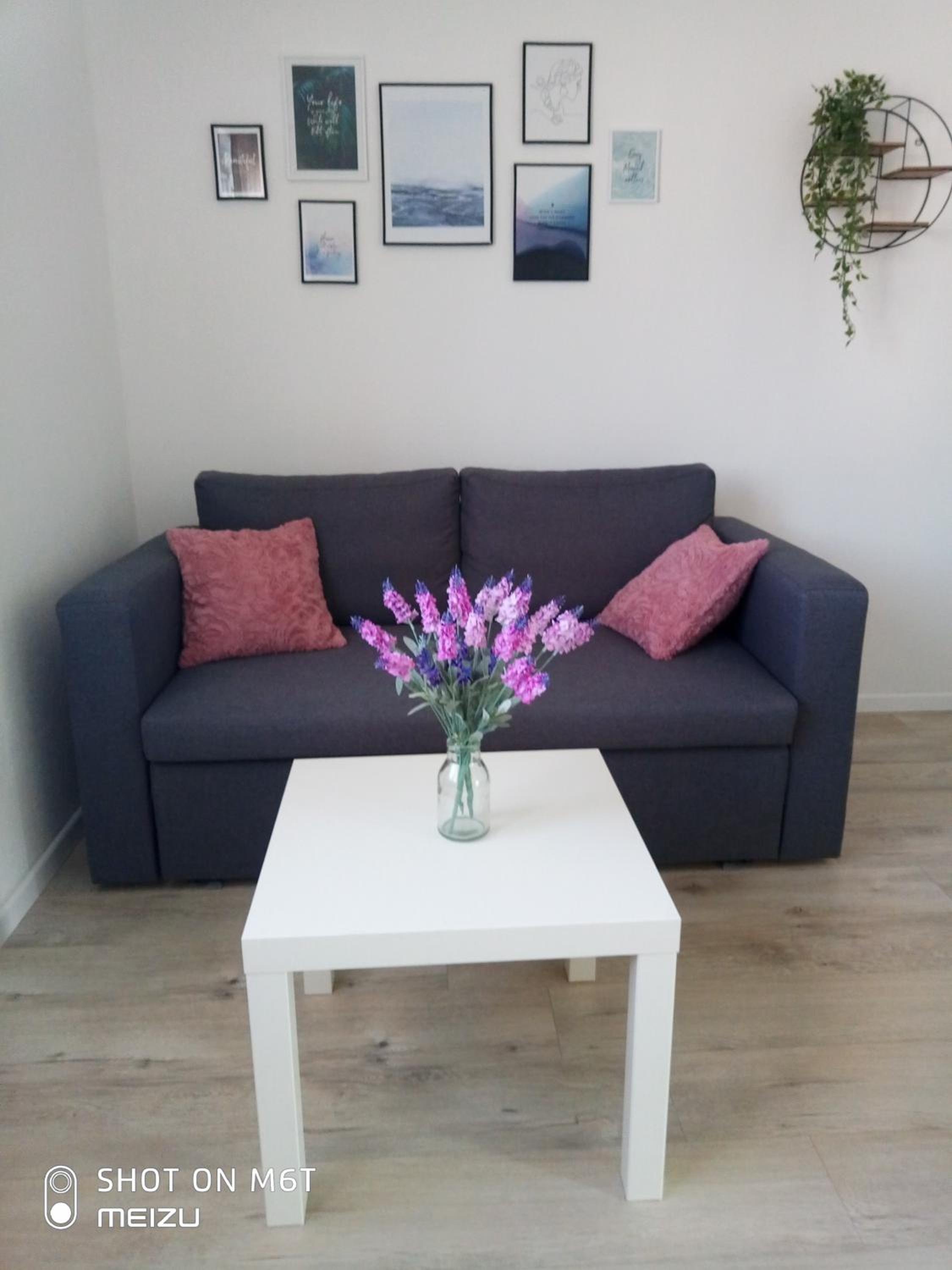 Apartmani Darko view 5