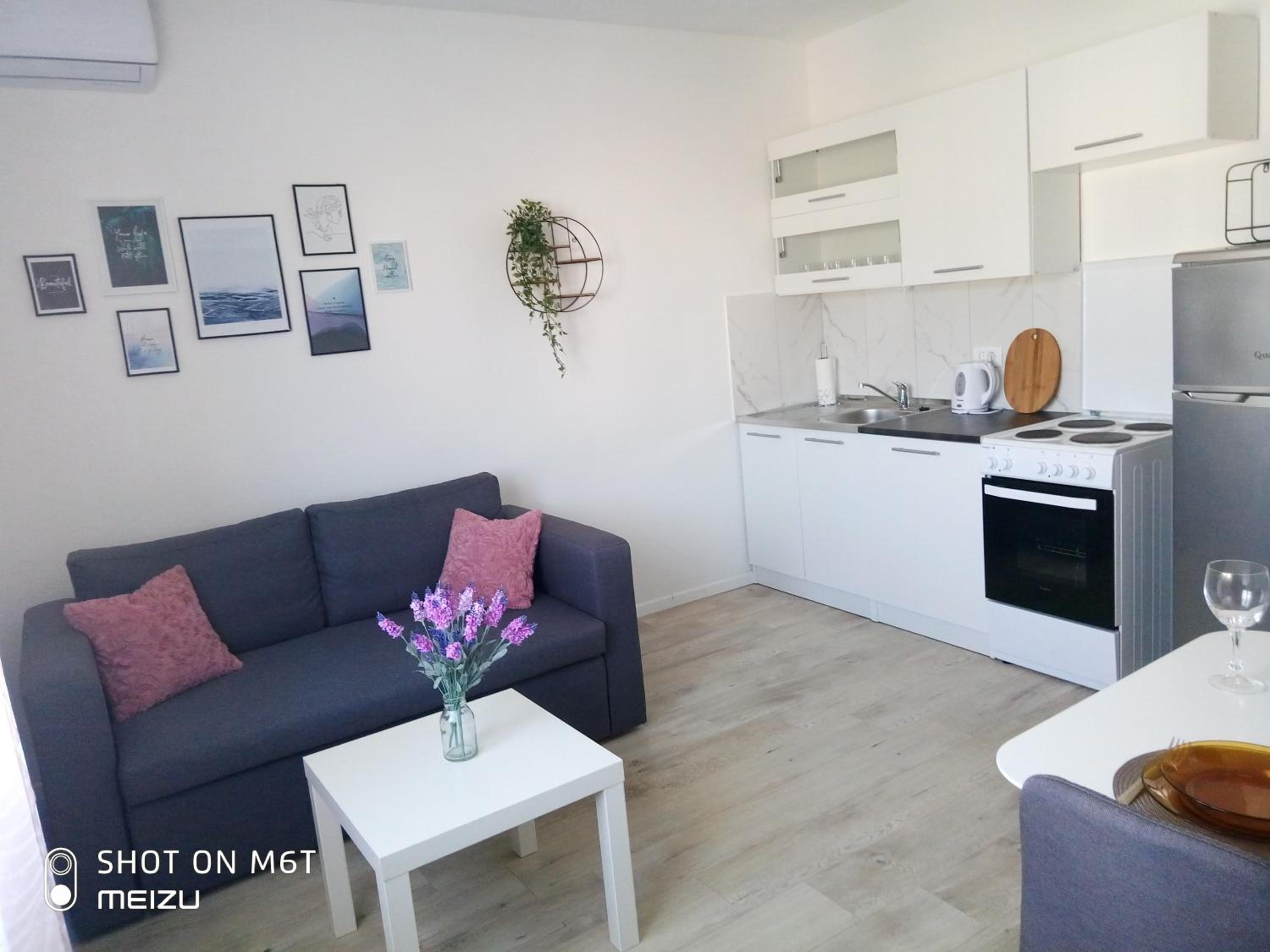 Apartmani Darko view 4