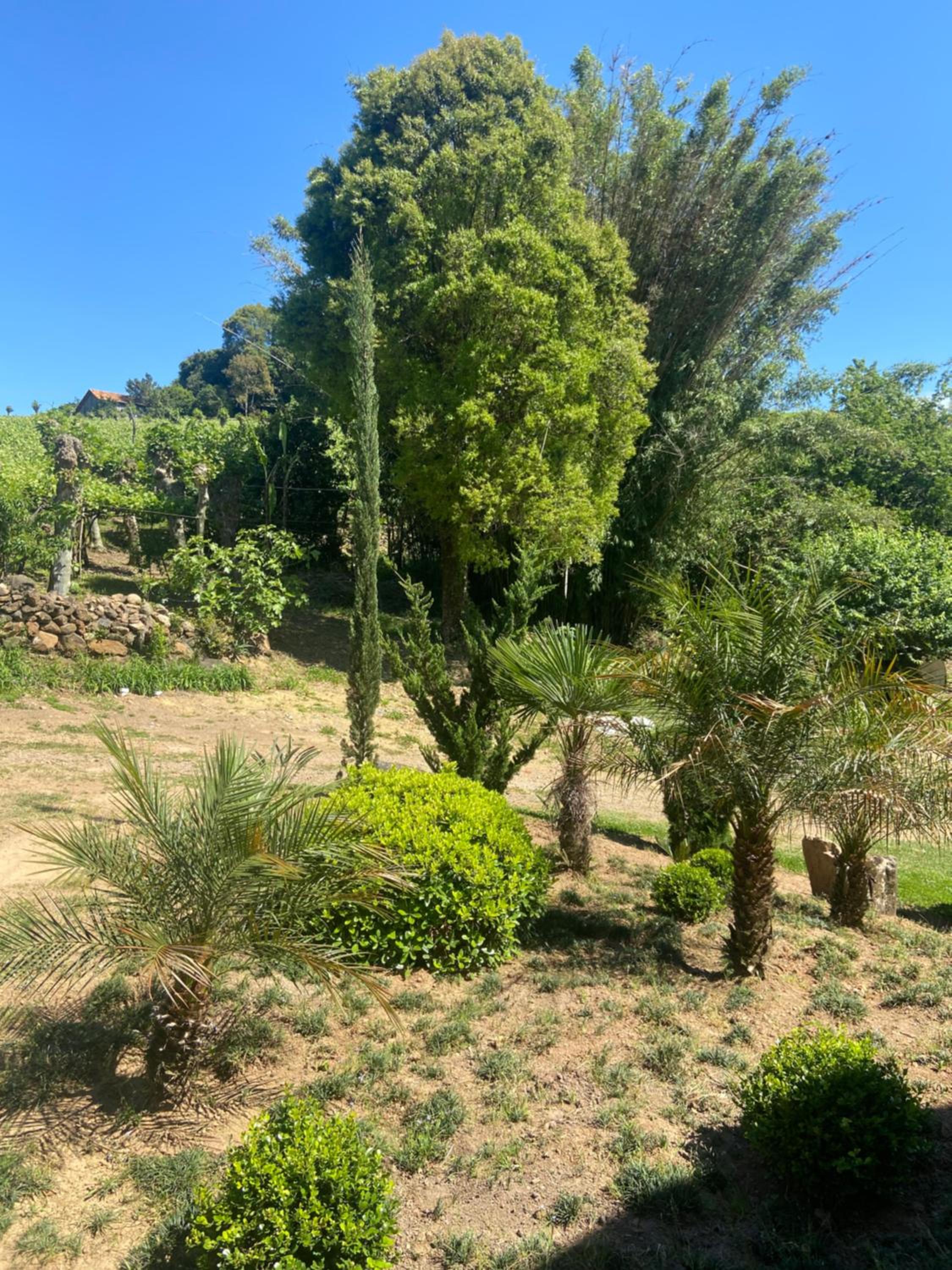 Casa no Vale dos Vinhedos em Bento Gonçalves