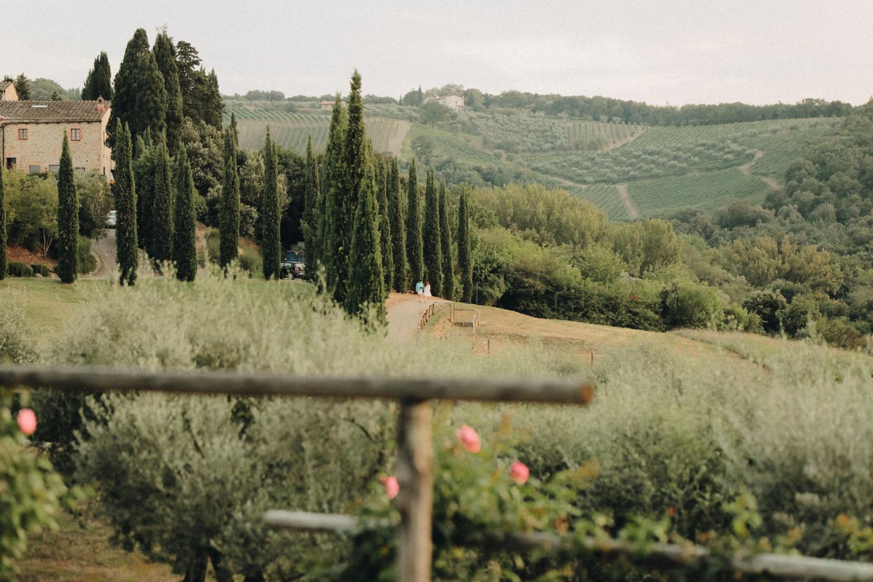 Tenuta Sant'Ilario