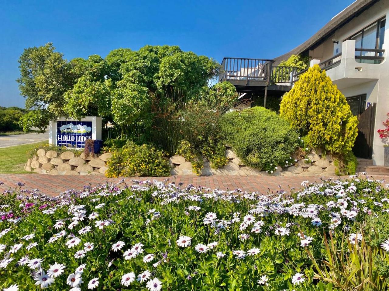 i-LOLLO Bed & Breakfast at the River Mouth