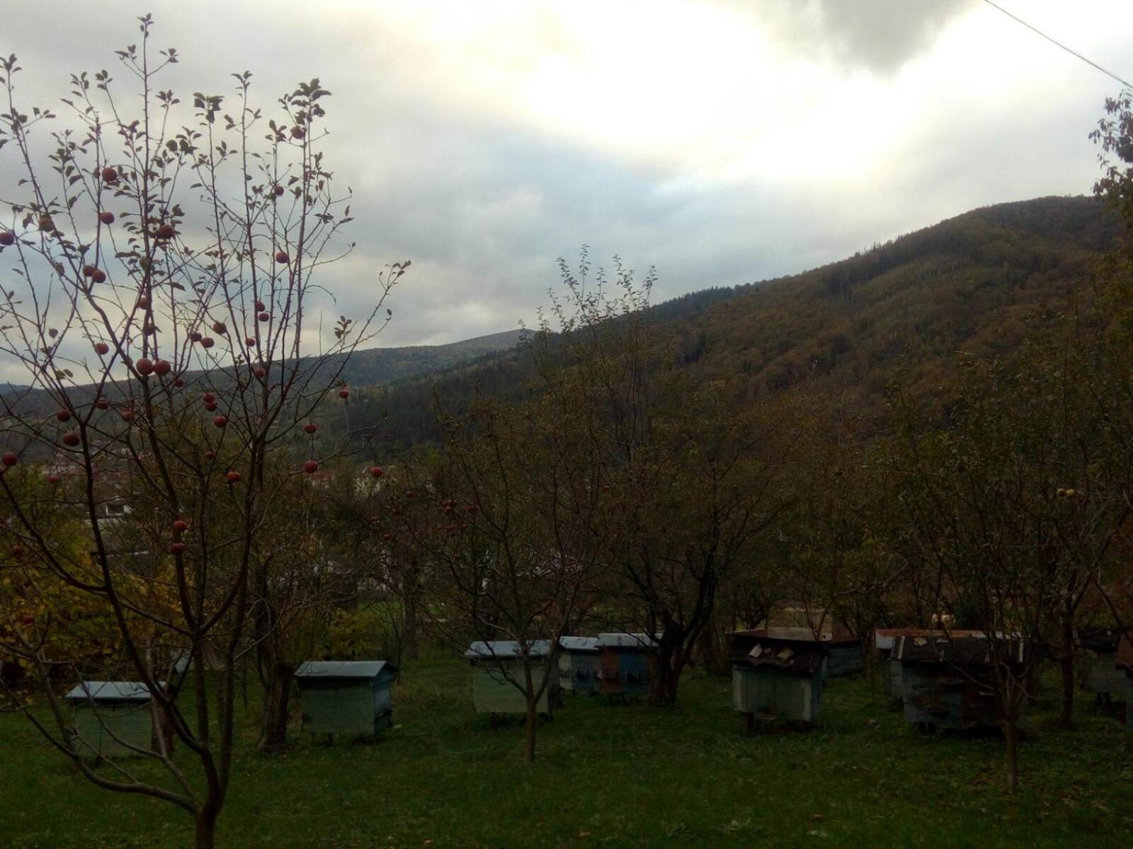 Photo 29