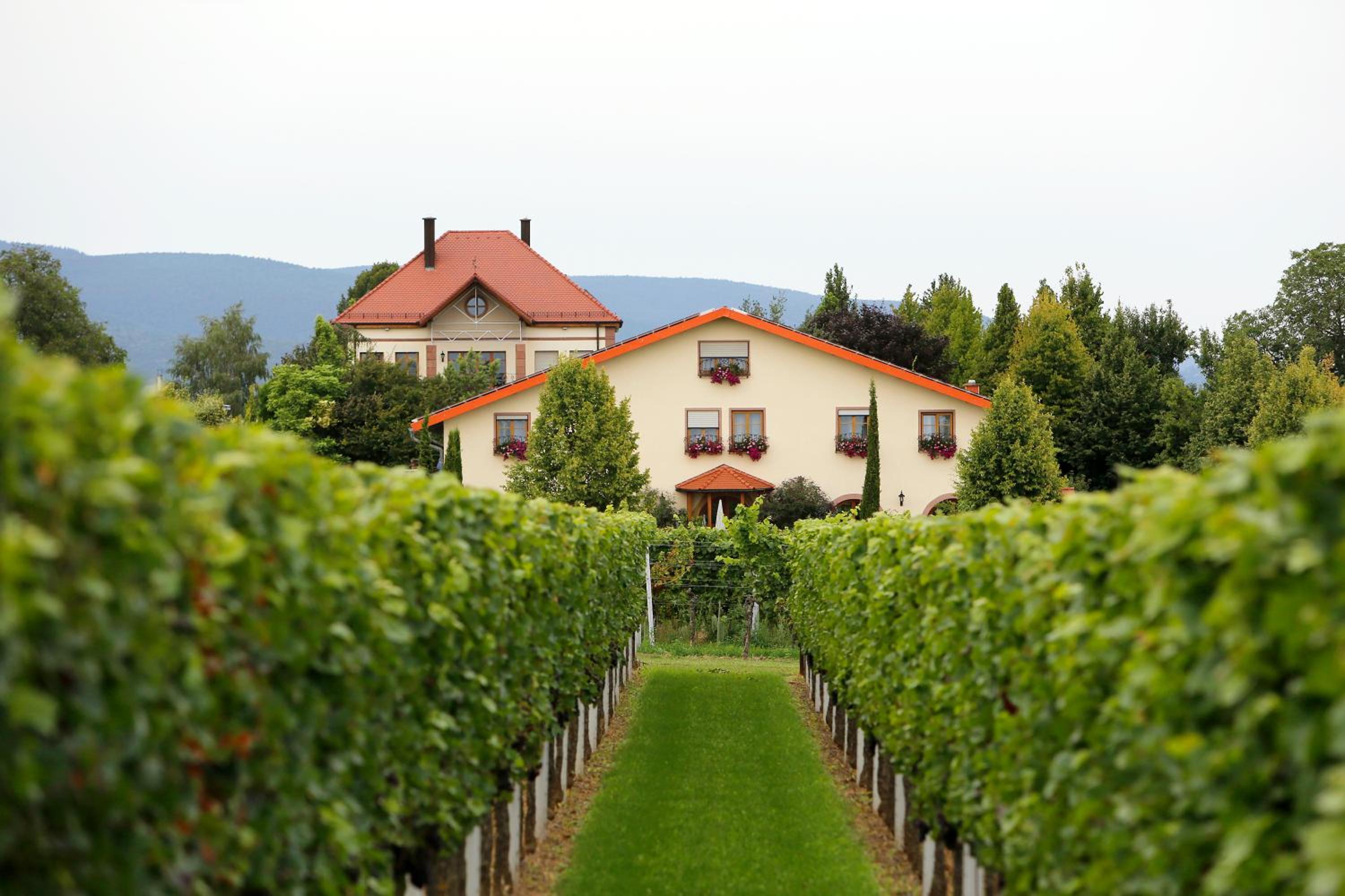 Villa Hochdörffer Gästehaus