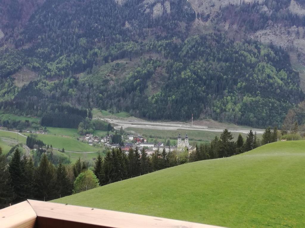Photo 17