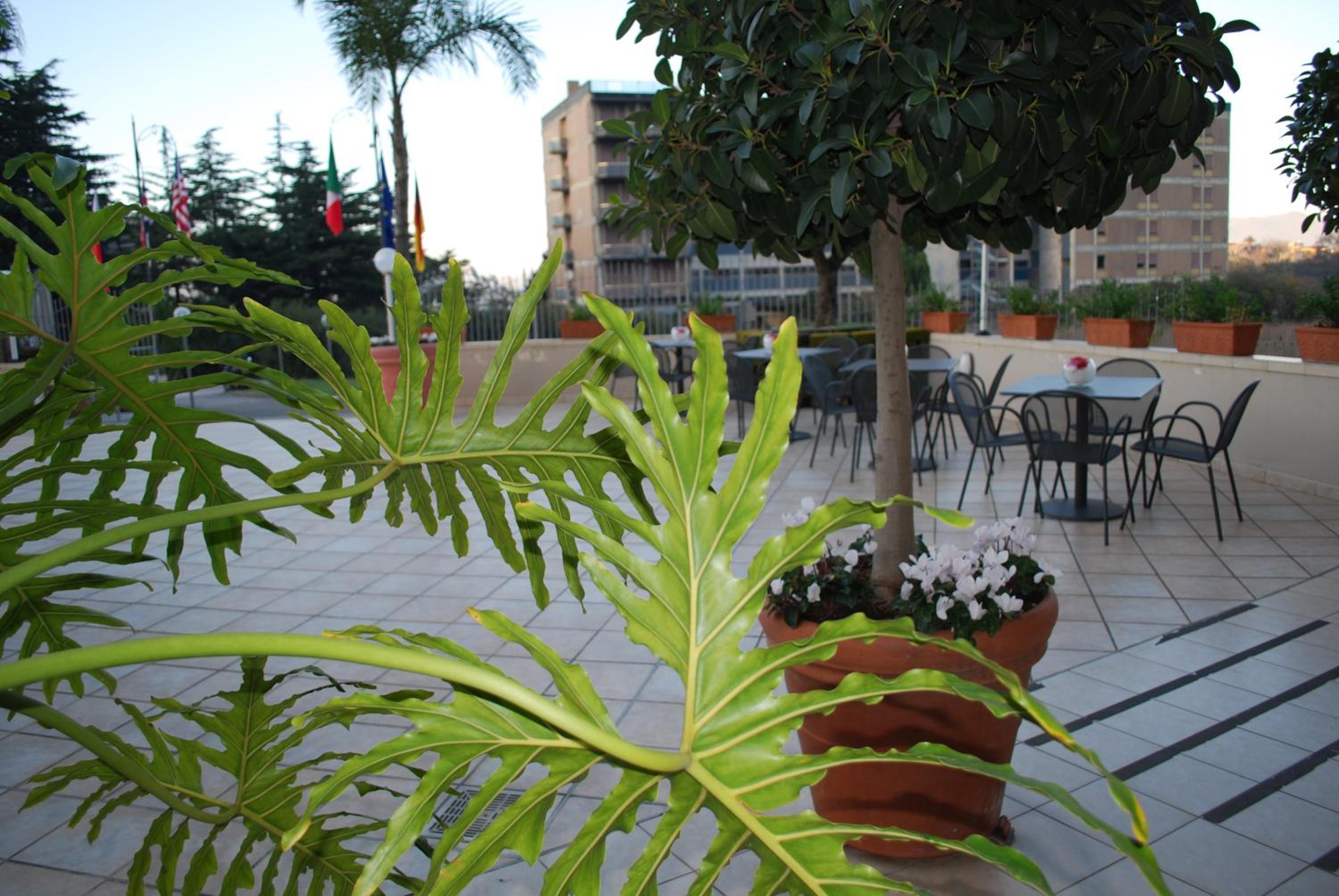 outdoor BBQ area