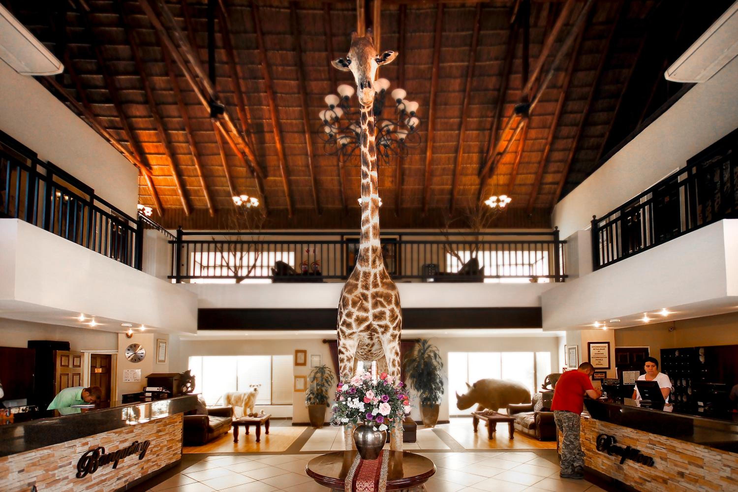 Photo 31