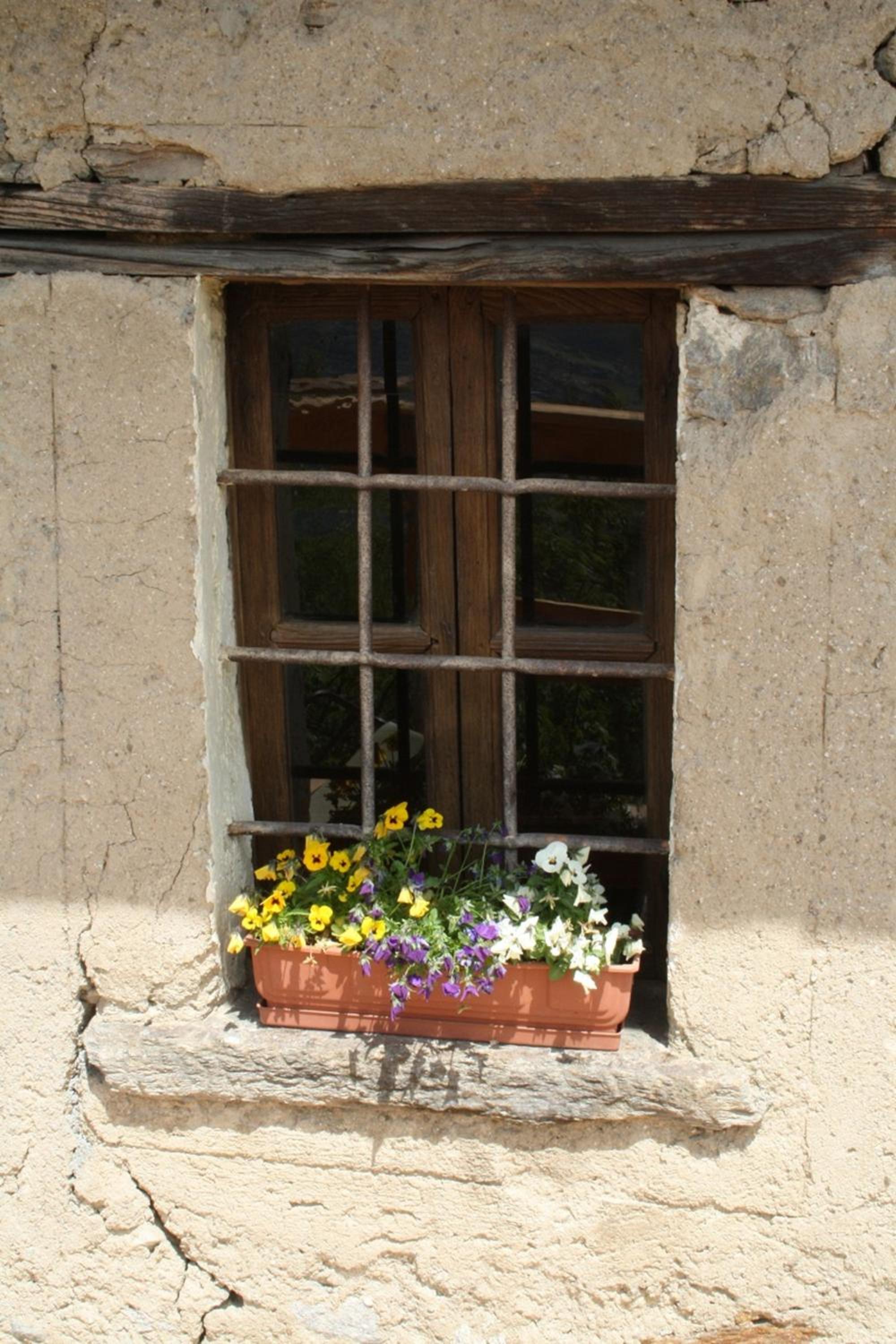 Photo 31