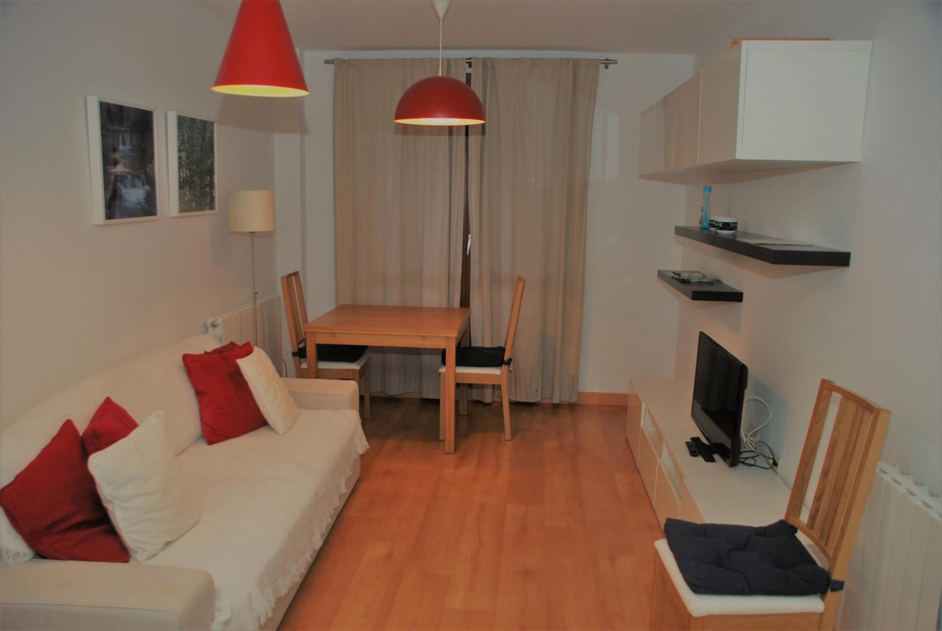 TU APARTAMENTO EN EL VALLE DE TENA en ESCARRILLA view 3