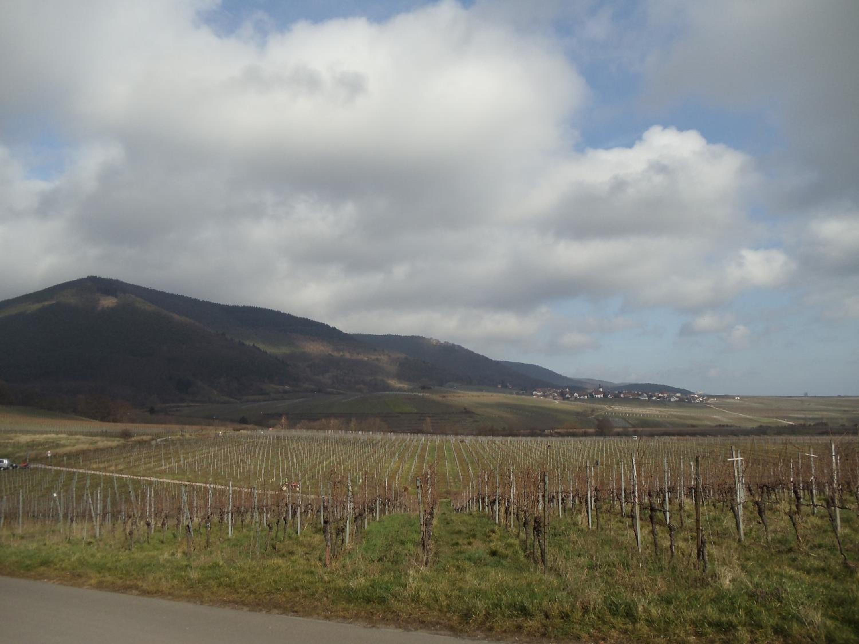 Weinhotel Kienle