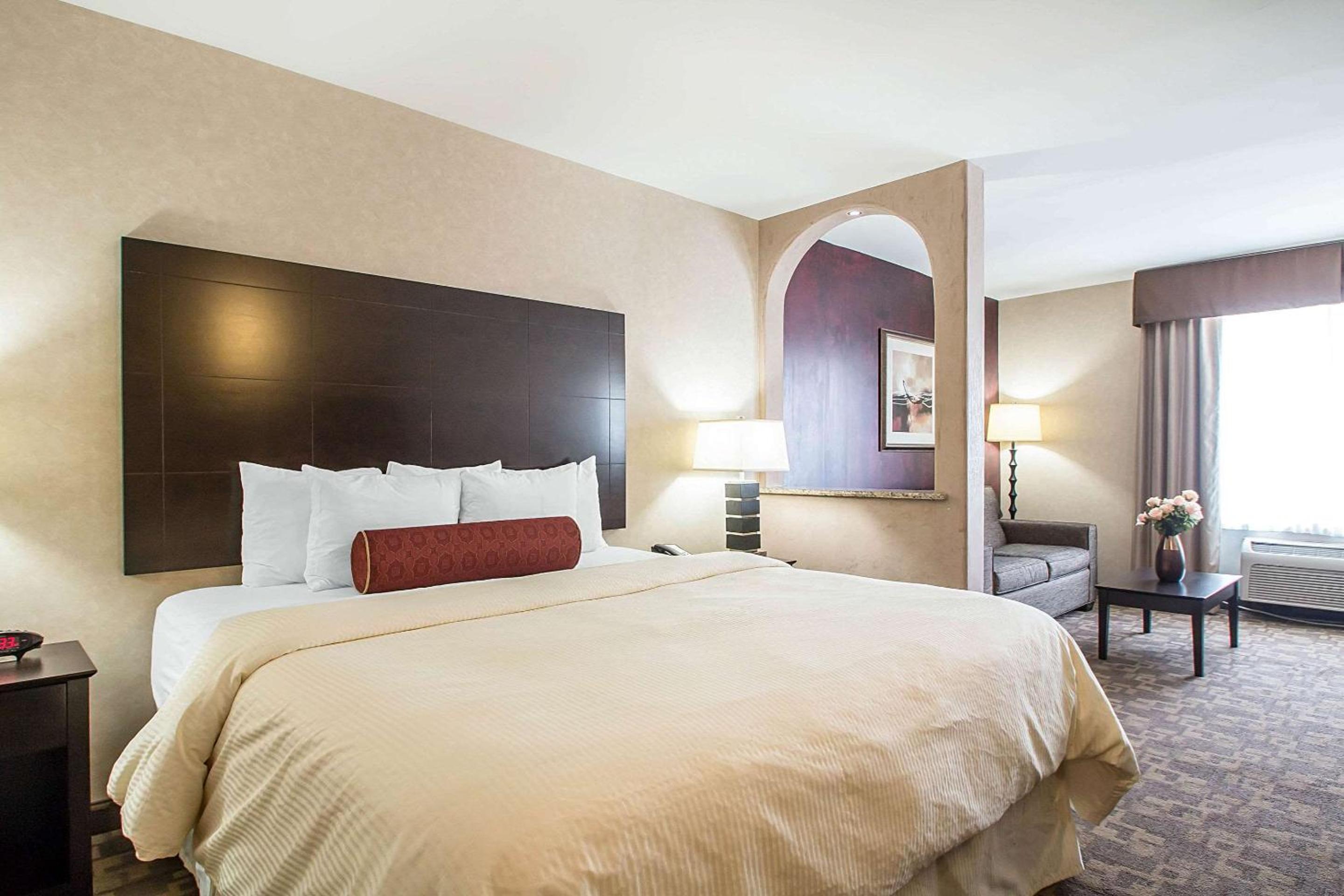 Clarion Inn Elmhurst - Oak Brook near I-88, I-290, I-294, Photo 15