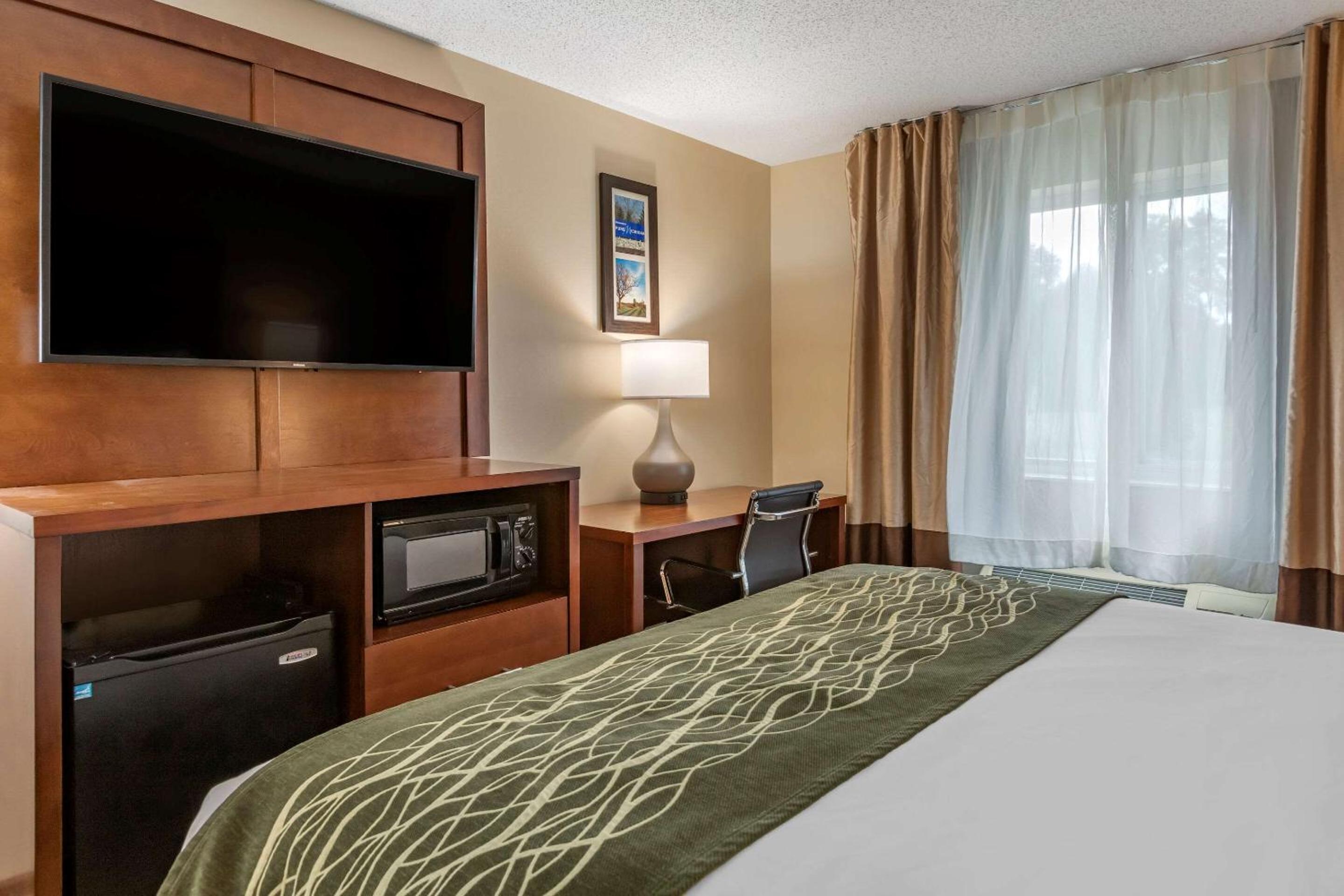 Comfort Inn  Suites Dimondale - Lansing - Property Image 1