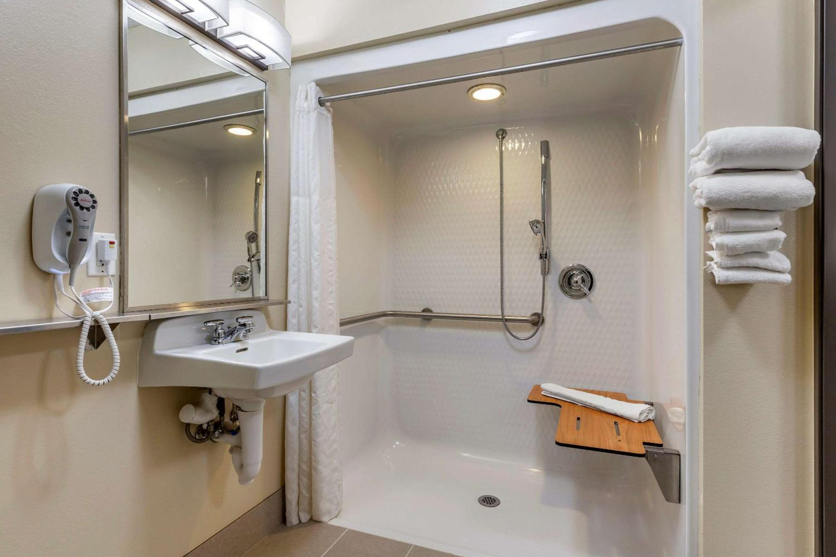 Comfort Inn  Suites Dimondale - Lansing - Property Image 23