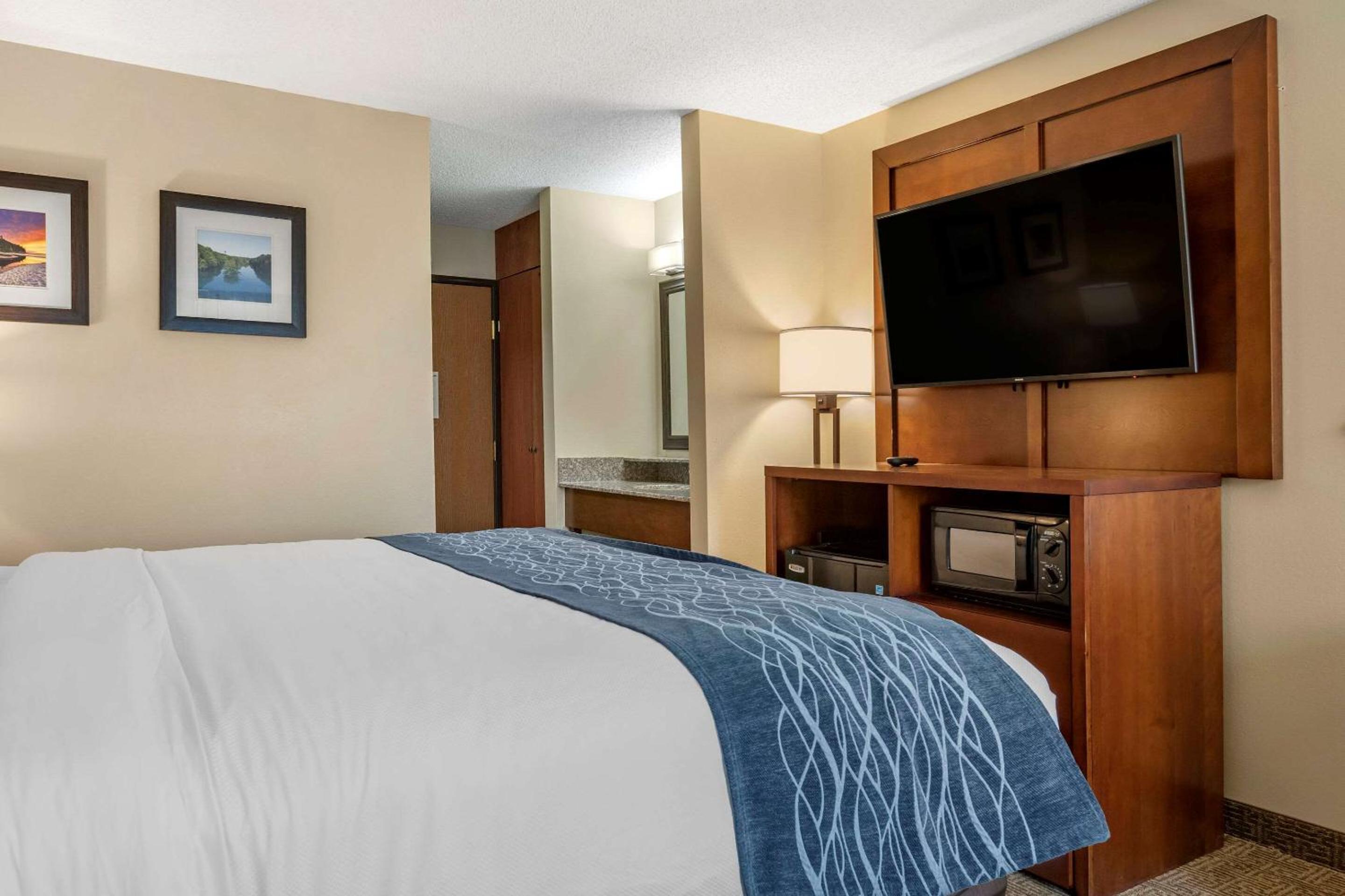 Comfort Inn  Suites Dimondale - Lansing - Property Image 19