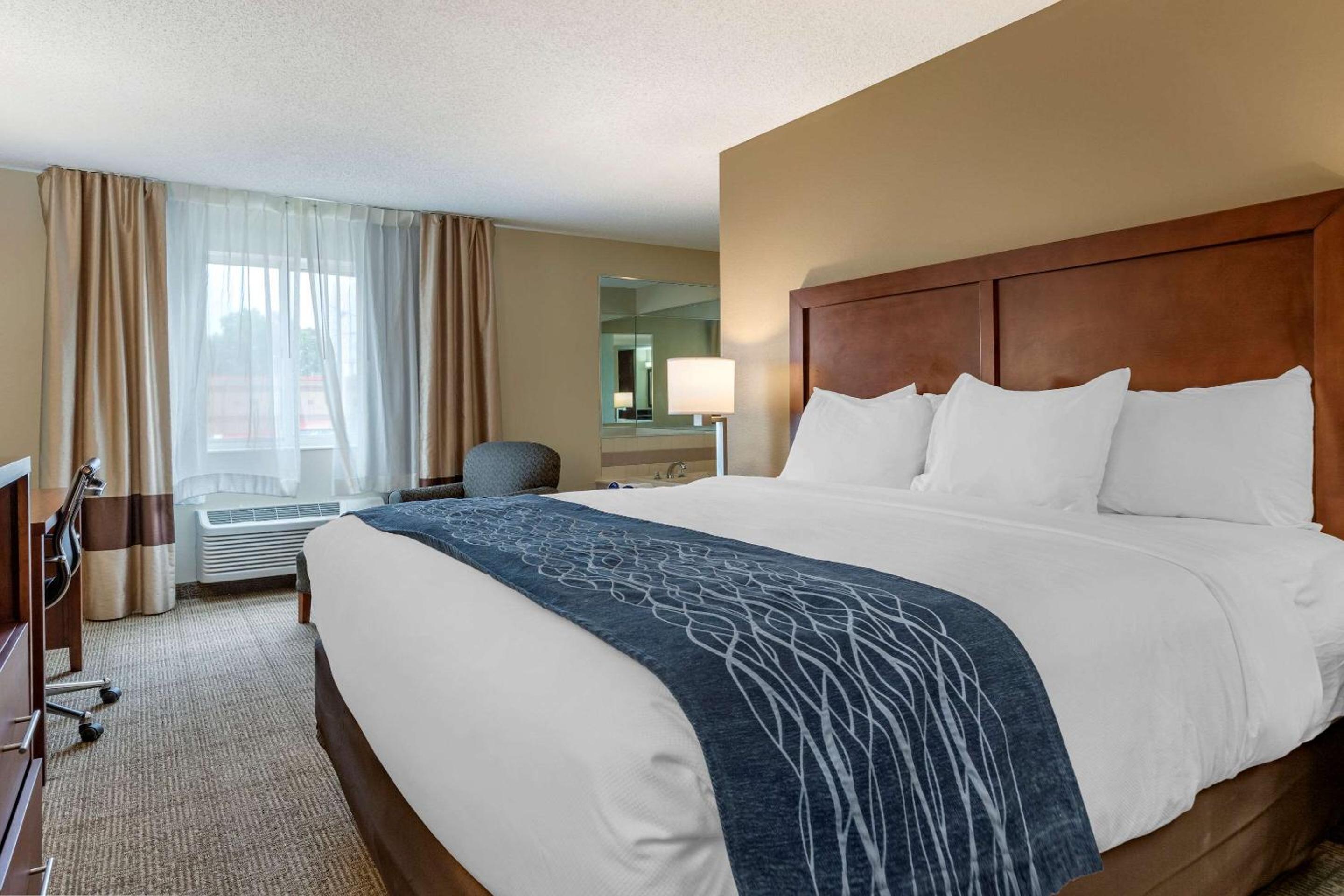 Comfort Inn  Suites Dimondale - Lansing - Property Image 2