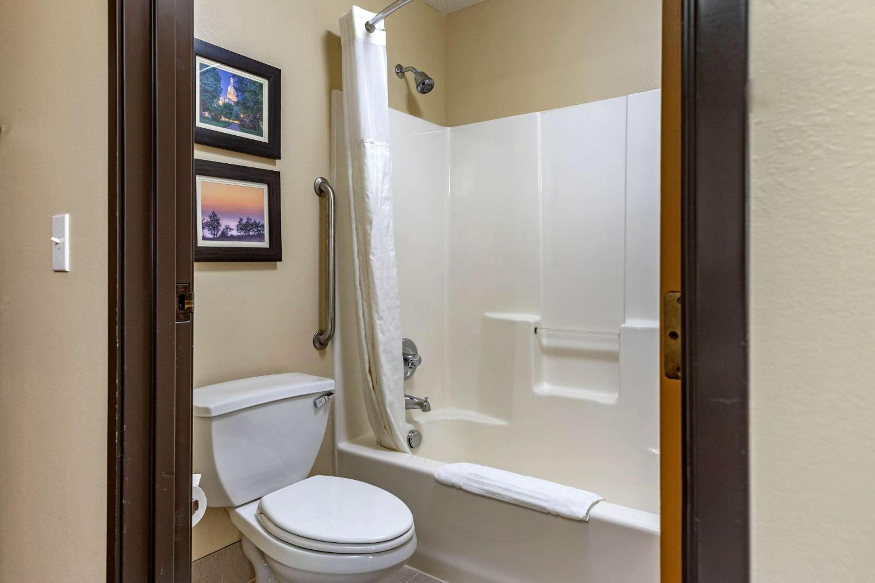 Comfort Inn  Suites Dimondale - Lansing - Property Image 8