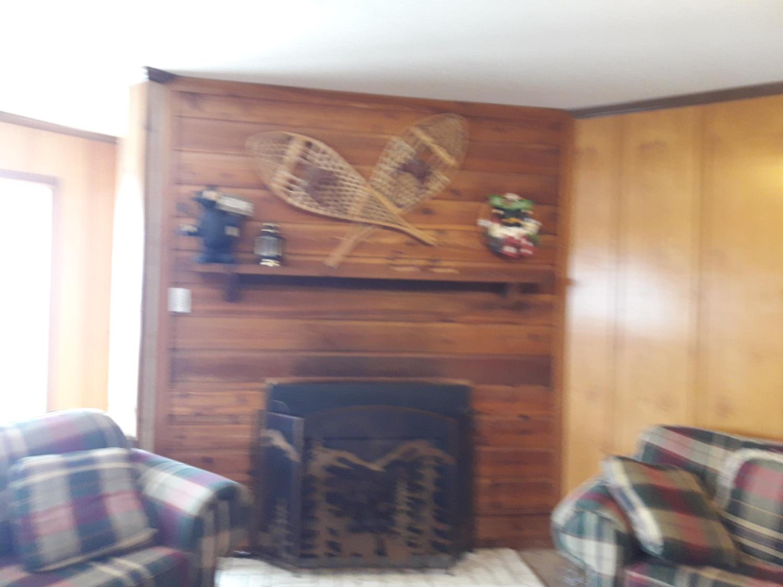 301 D Summit Dr. , Snowshoe Mountains, WV 26209 view 5