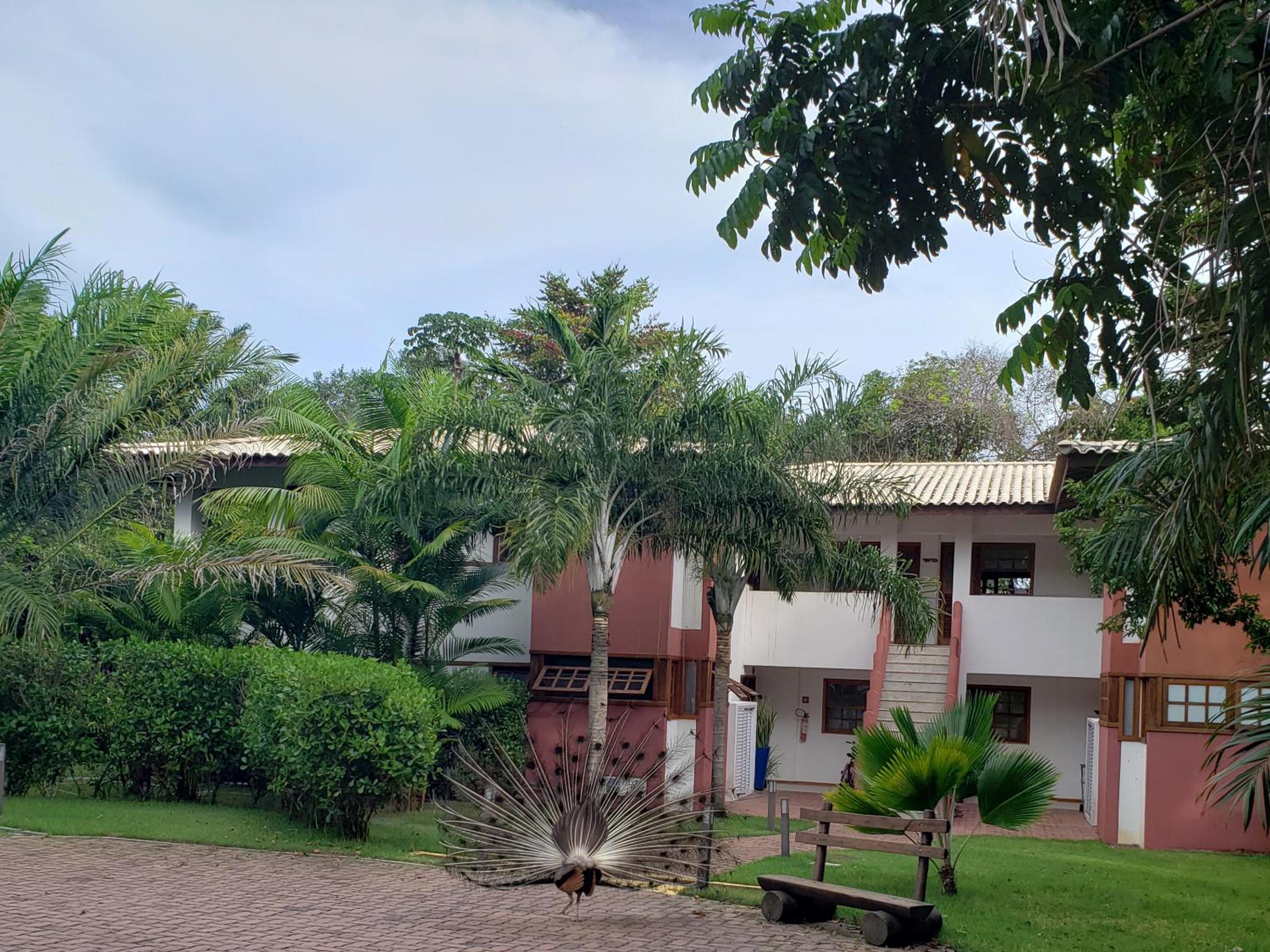 Hotel Apto incrível em condomínio lindo - Image 1