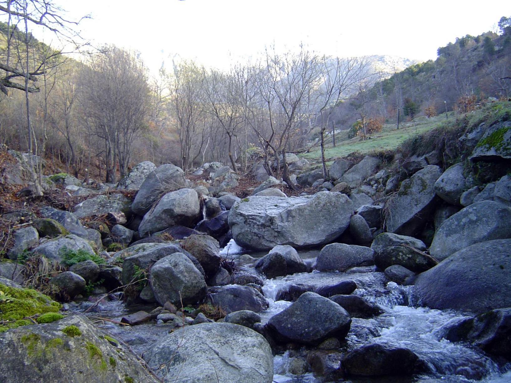 La Calleja view 5