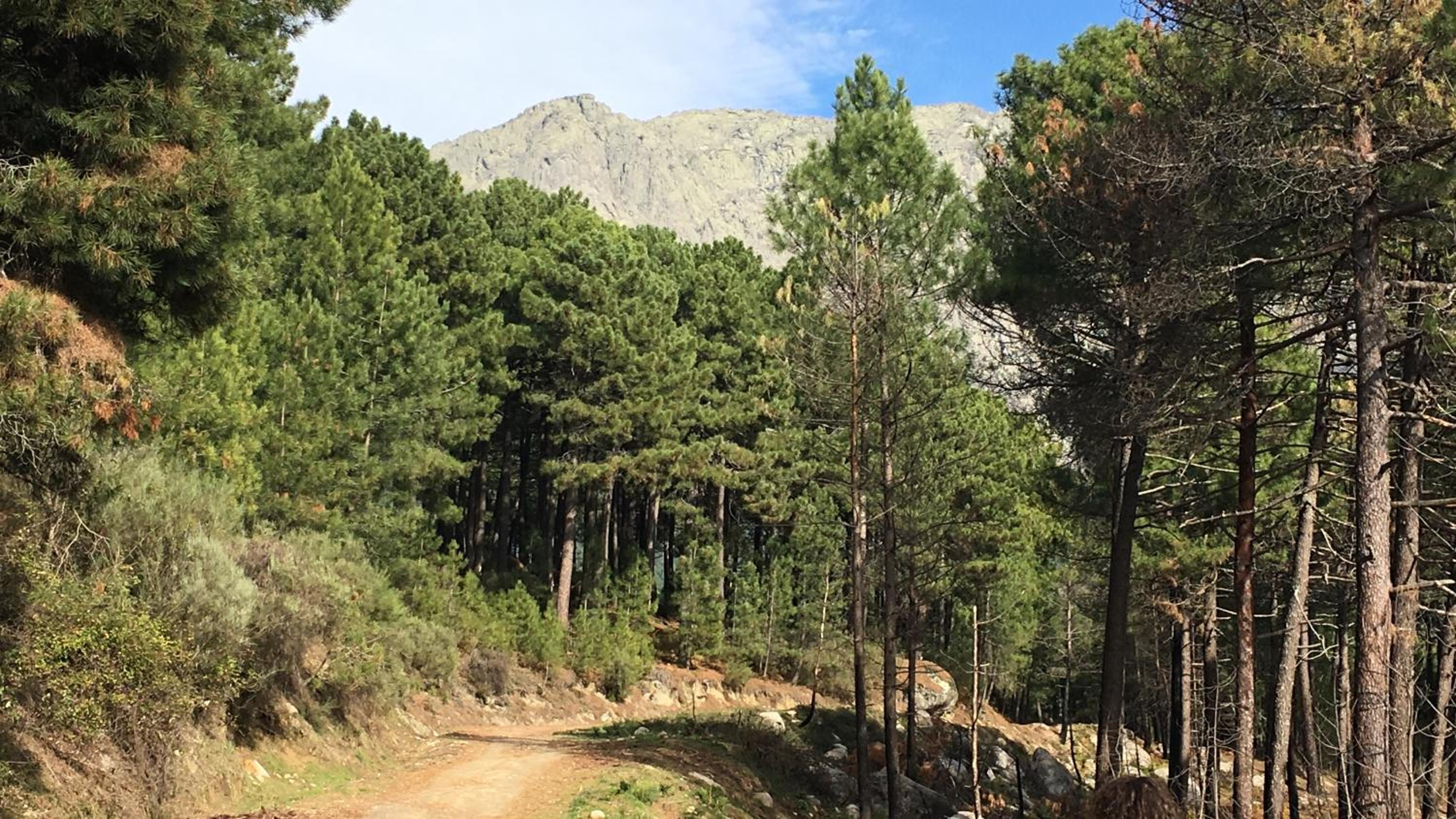 La Calleja view 2