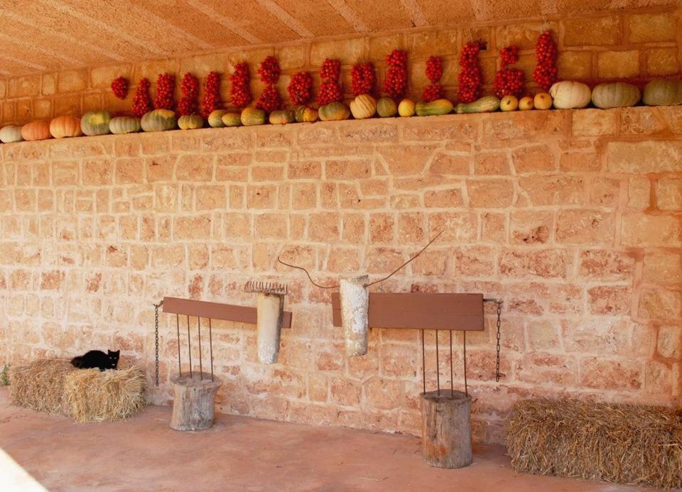 Masseria Galatea Agriturismo