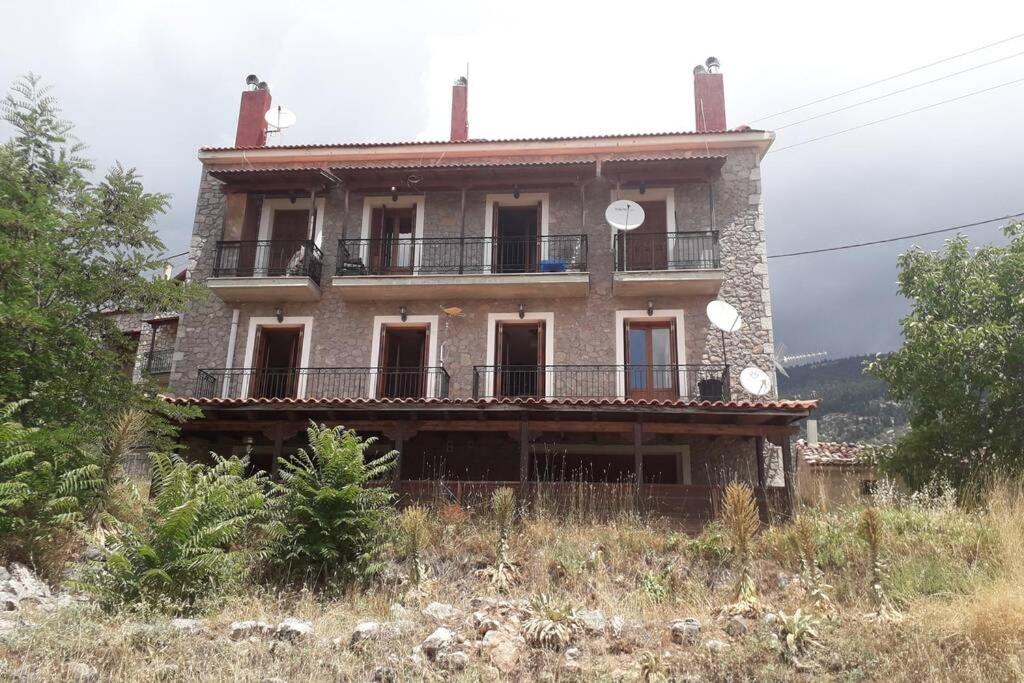 Efis house view 5