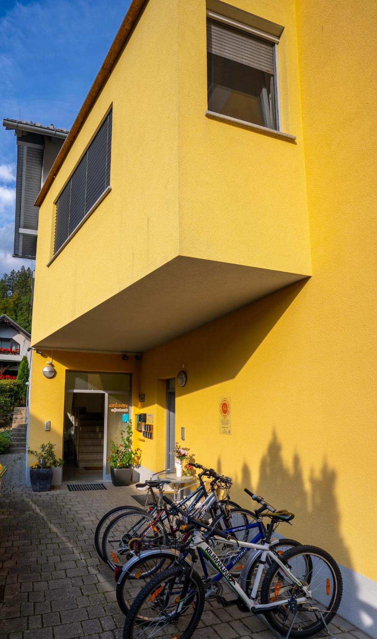 Apartment Muznik